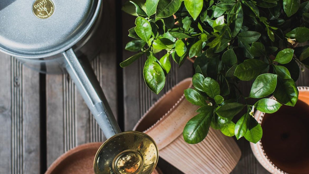 A Potted Garden Can Be Created Anywhere - Craft The Garden Of Your Dreams Using Pots!