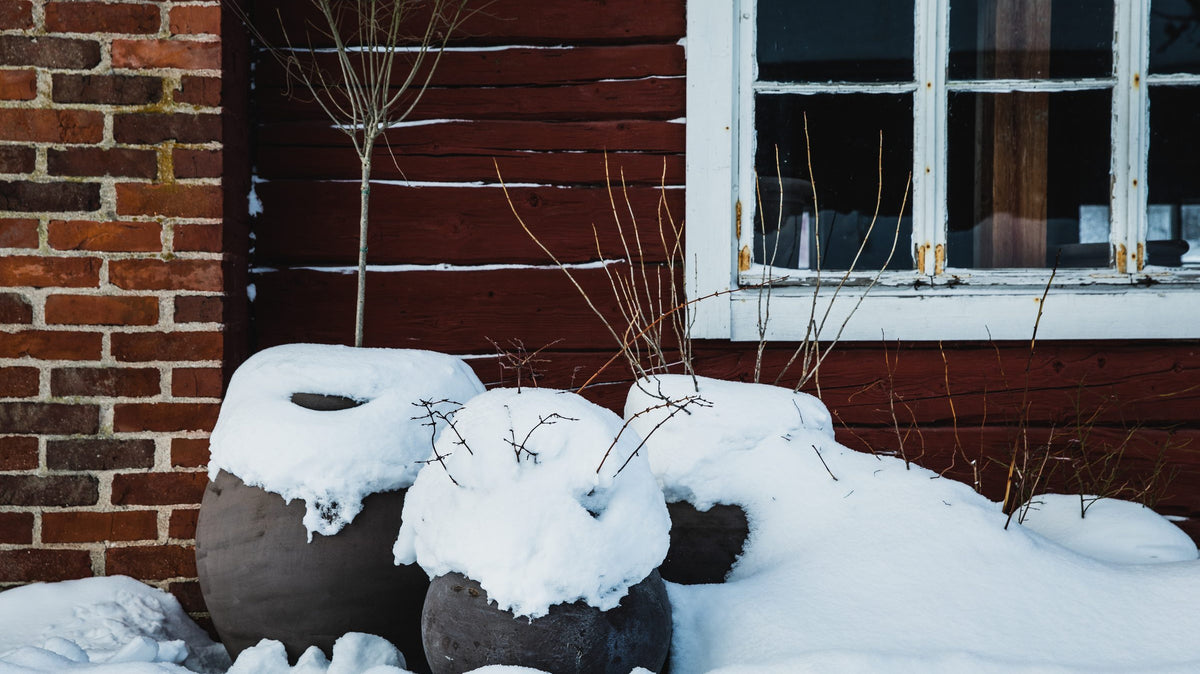 Snow-covered pots in winter