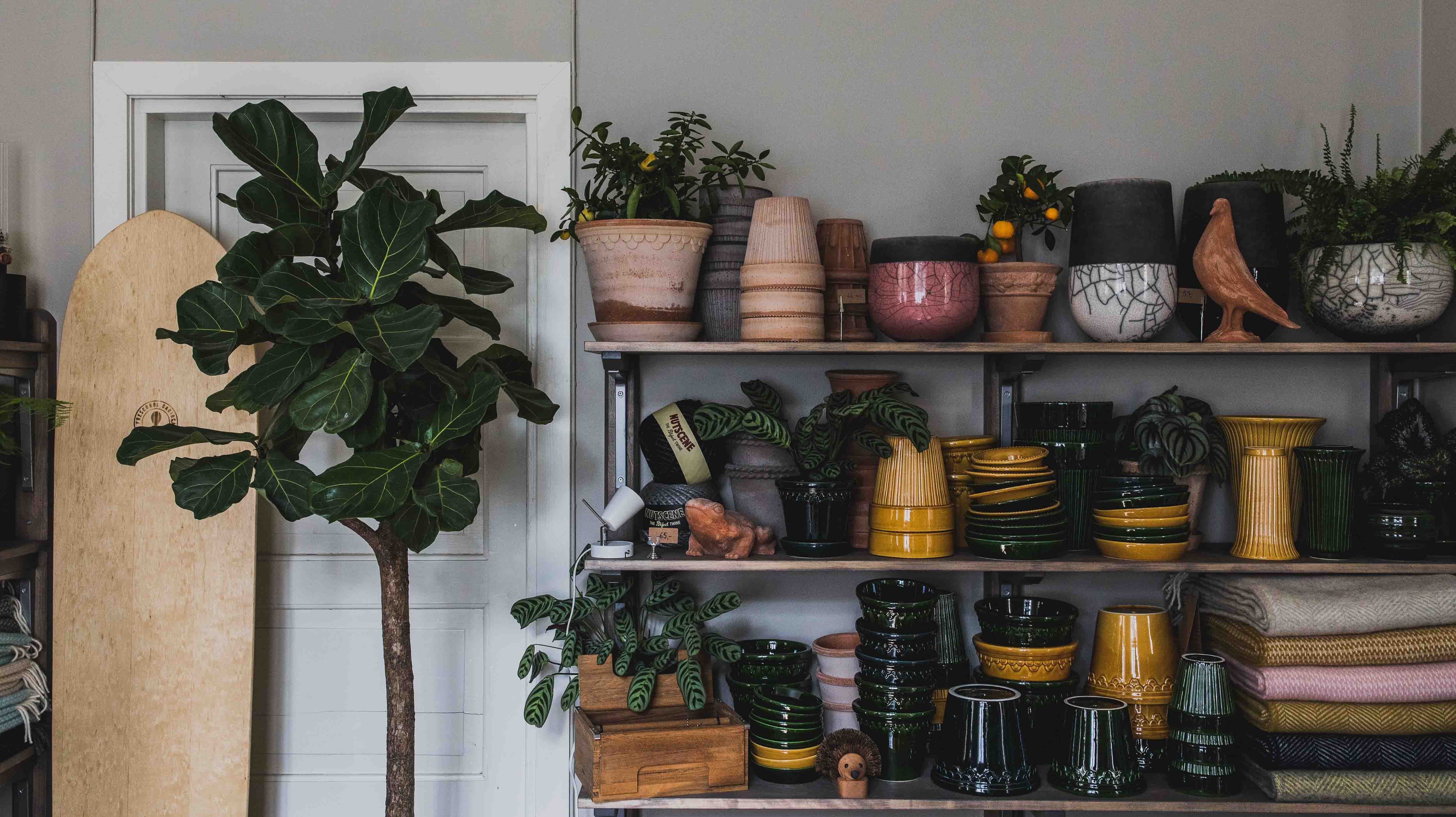 All About Pots - How to Choose the Perfect Pot