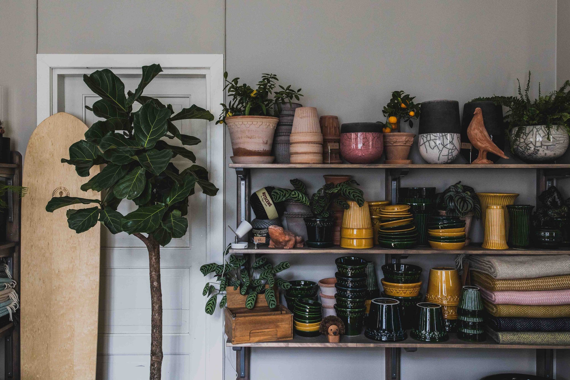 All About Pots - How to Choose the Perfect Pot