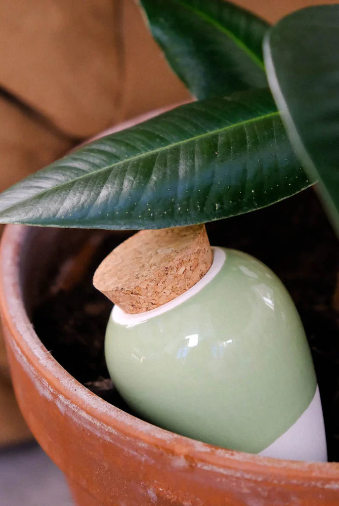 Olla Hydrante - Vert - Cigale & Fourmi