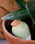 Olla-kasteluastia - Vert