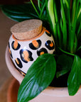 Olla Hydrante - Léopard