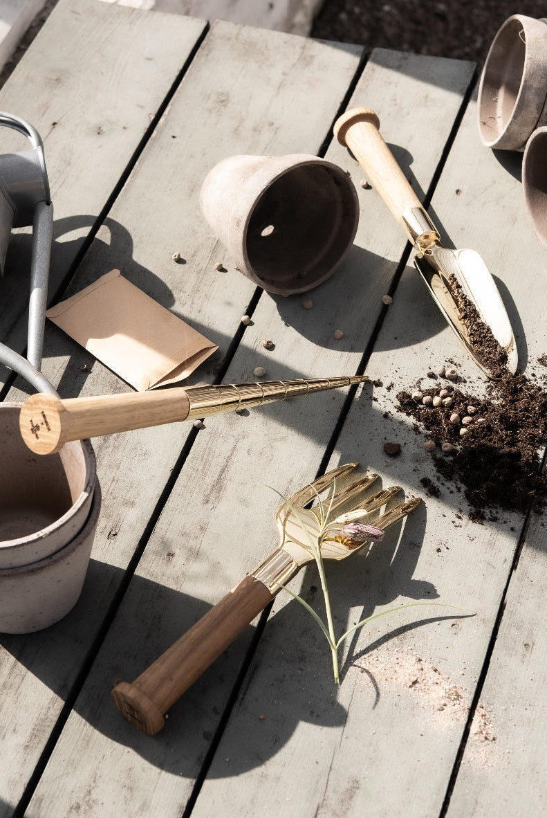 Nurture Planting Stick - Brass / Oak — Skultuna 8
