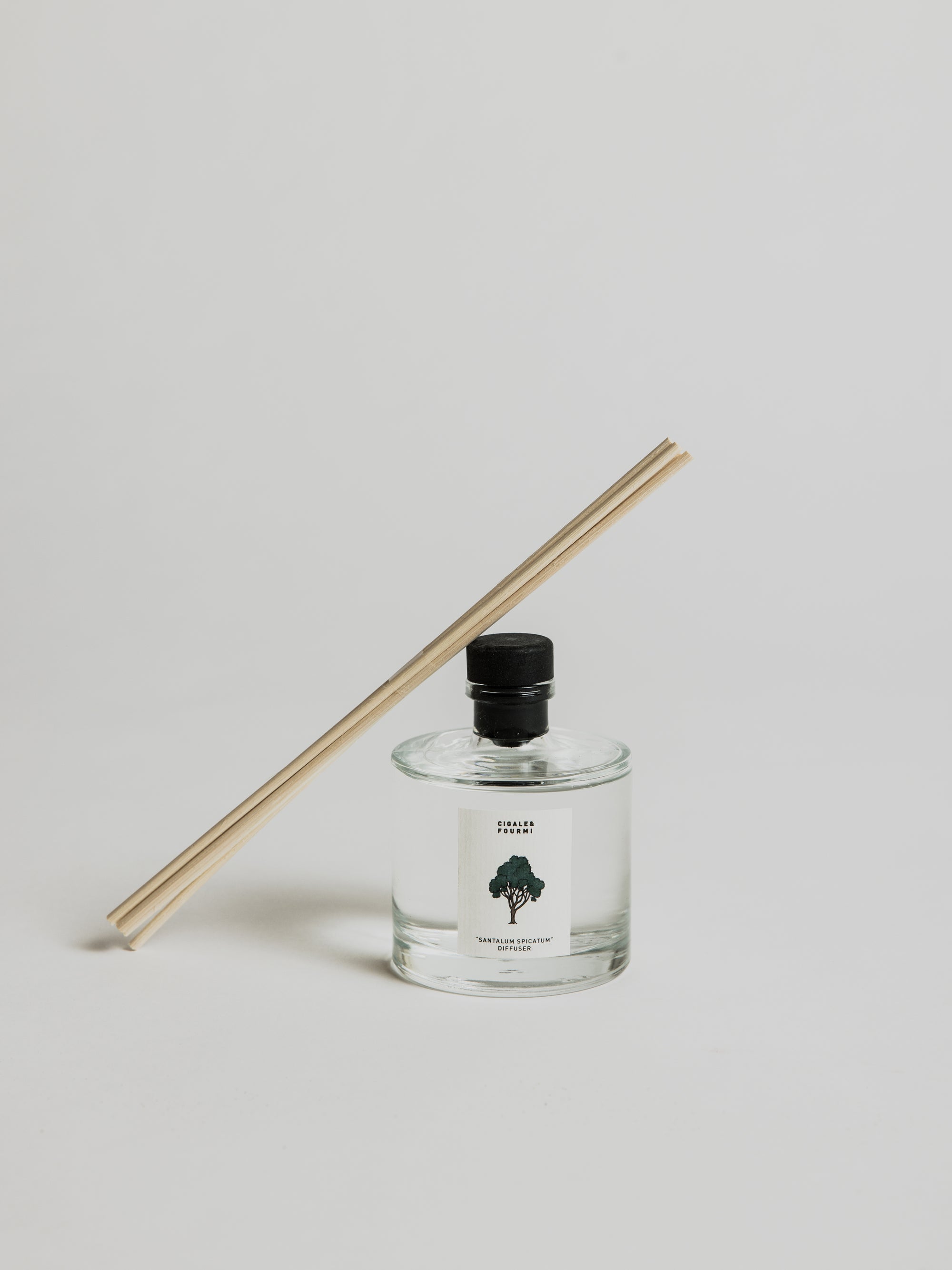 Fragrance Diffuser - Santalum Spicatum - Cigale &amp;  Fourmi