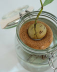 Bouée Avocat - Gigi