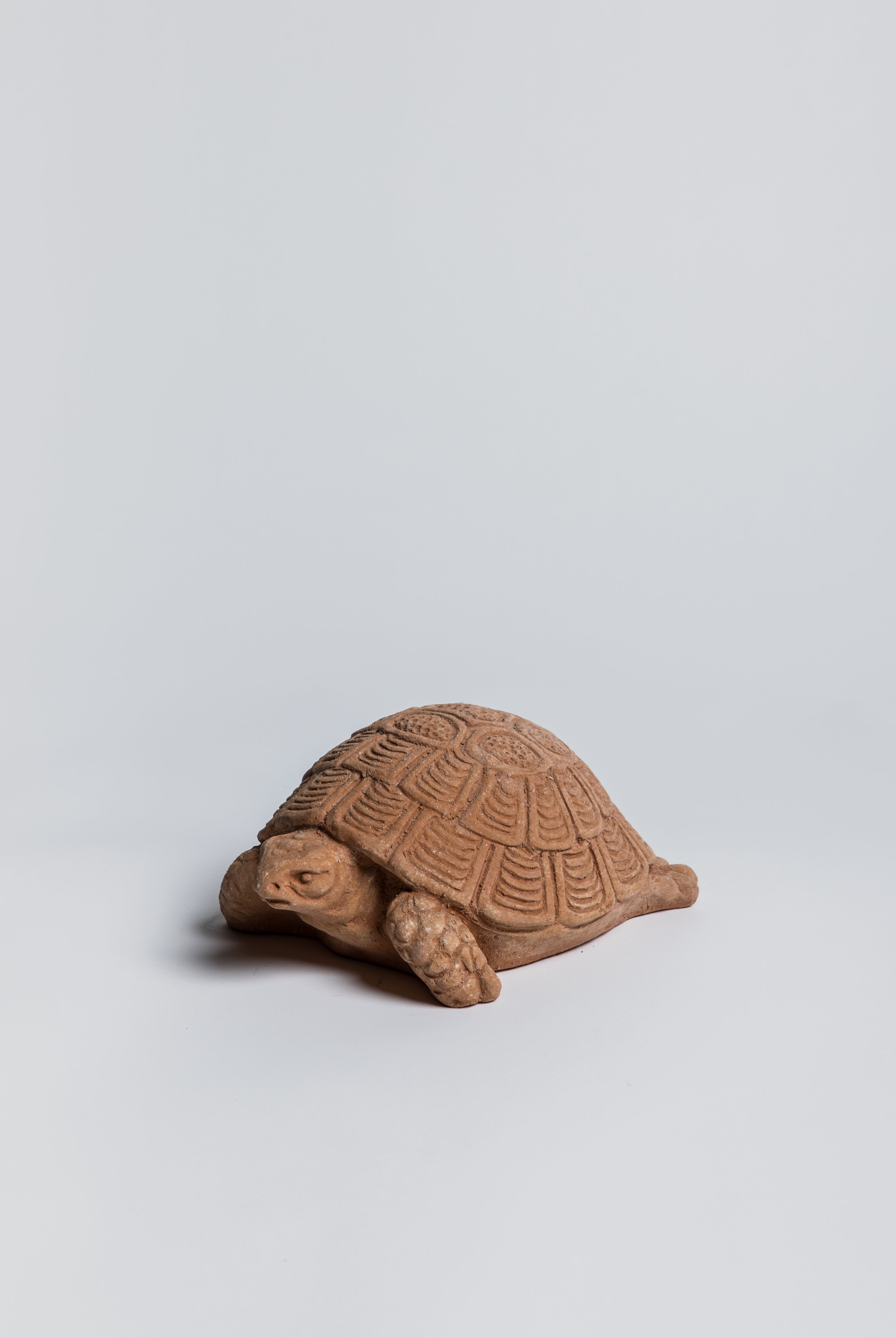 Turtle/ Tortoise Statue - Terracotta - Cigale & Fourmi