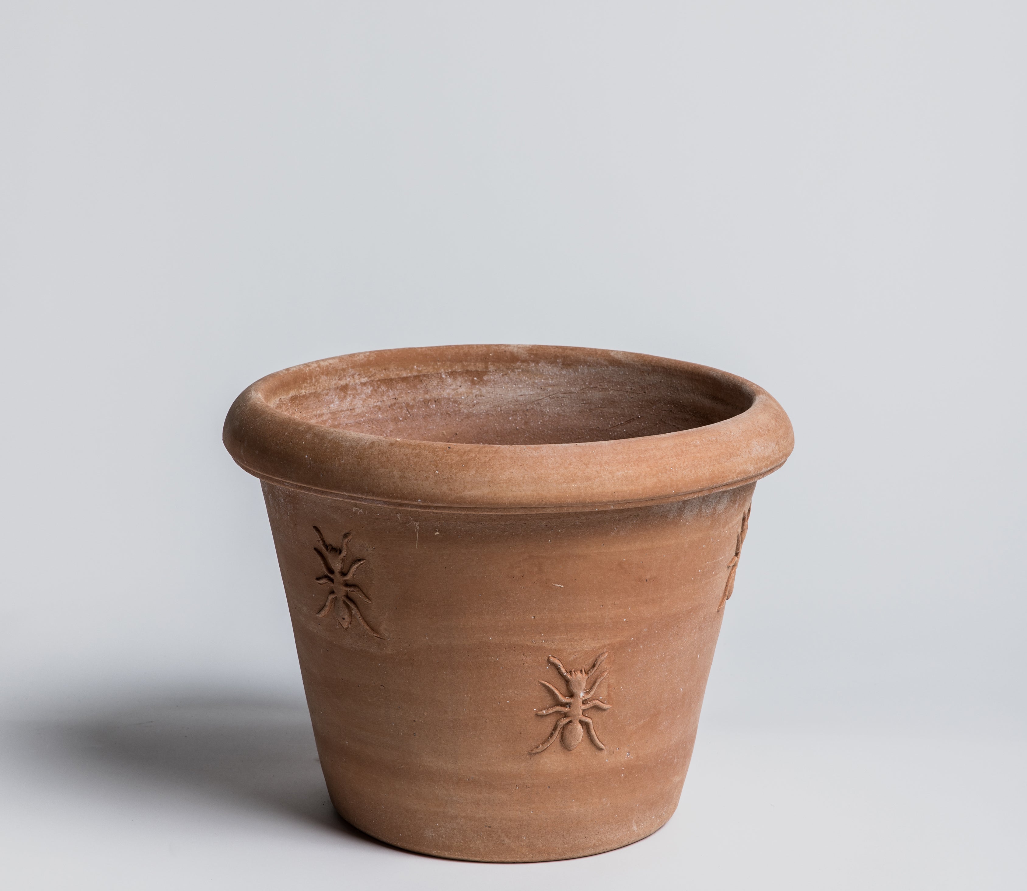 Fourmi Pot - Terracotta - Cigale & Fourmi