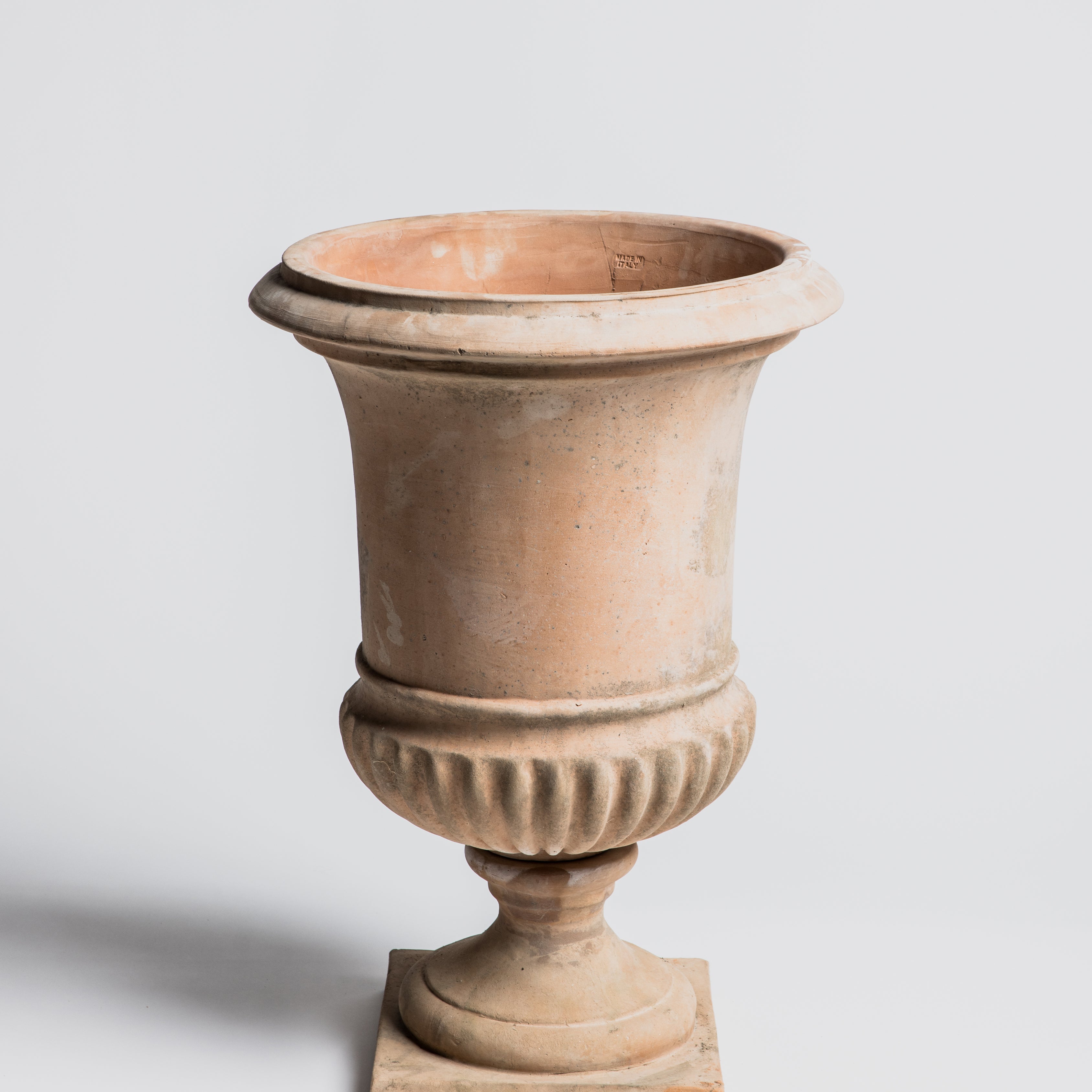 Vanvitelli Pot - Cigale & Fourmi