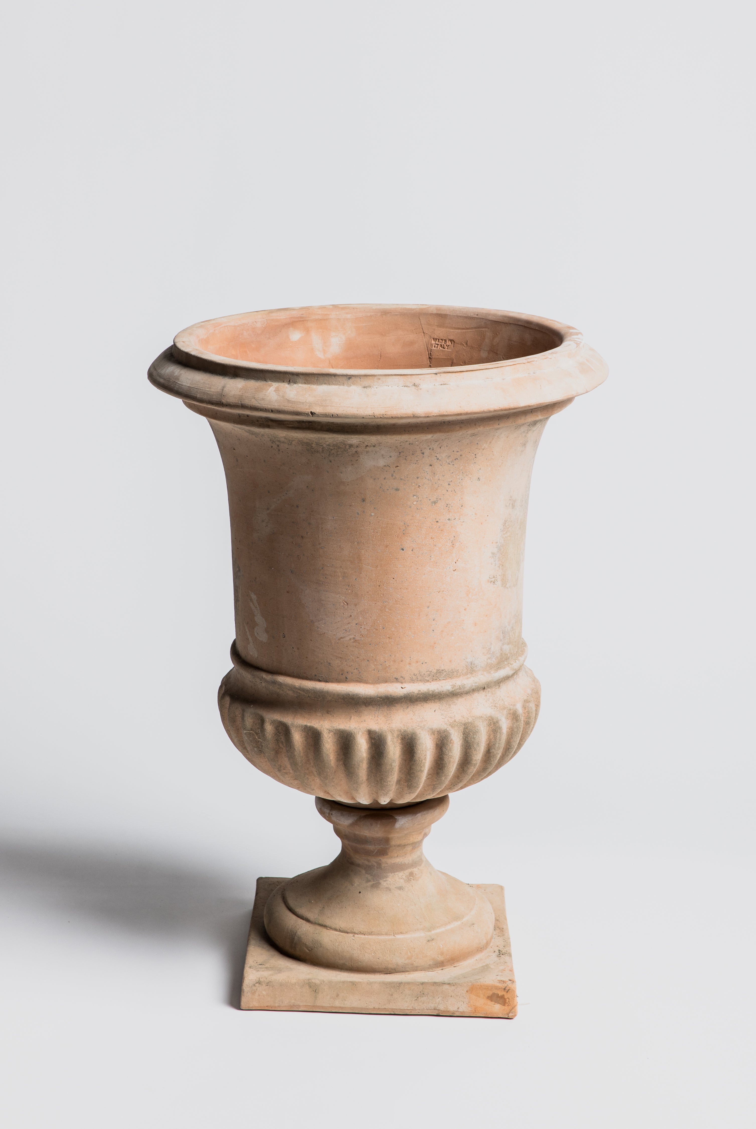 Vanvitelli Pot - Cigale & Fourmi