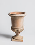 Vanvitelli Pot