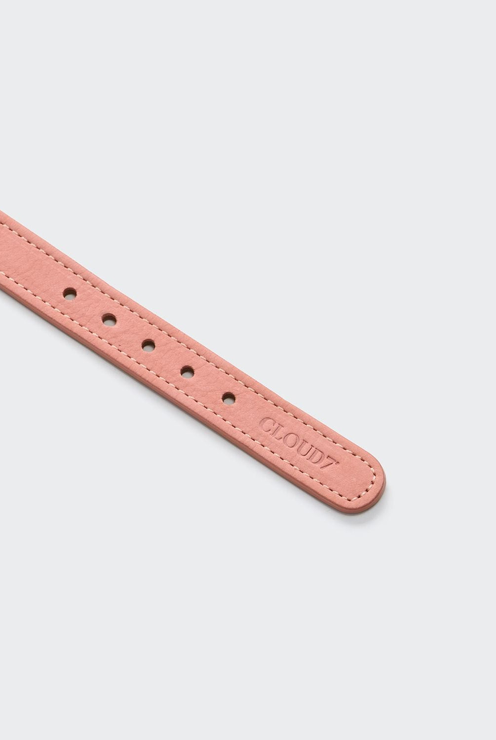 Dog Collar Tiergarten Park - Peach — detail 5