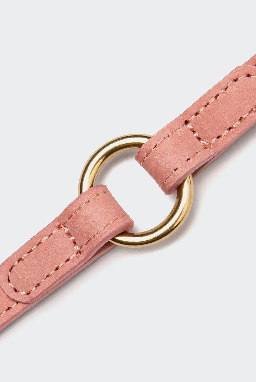Dog Leash - Tiergarten Park - Peach — detail 4
