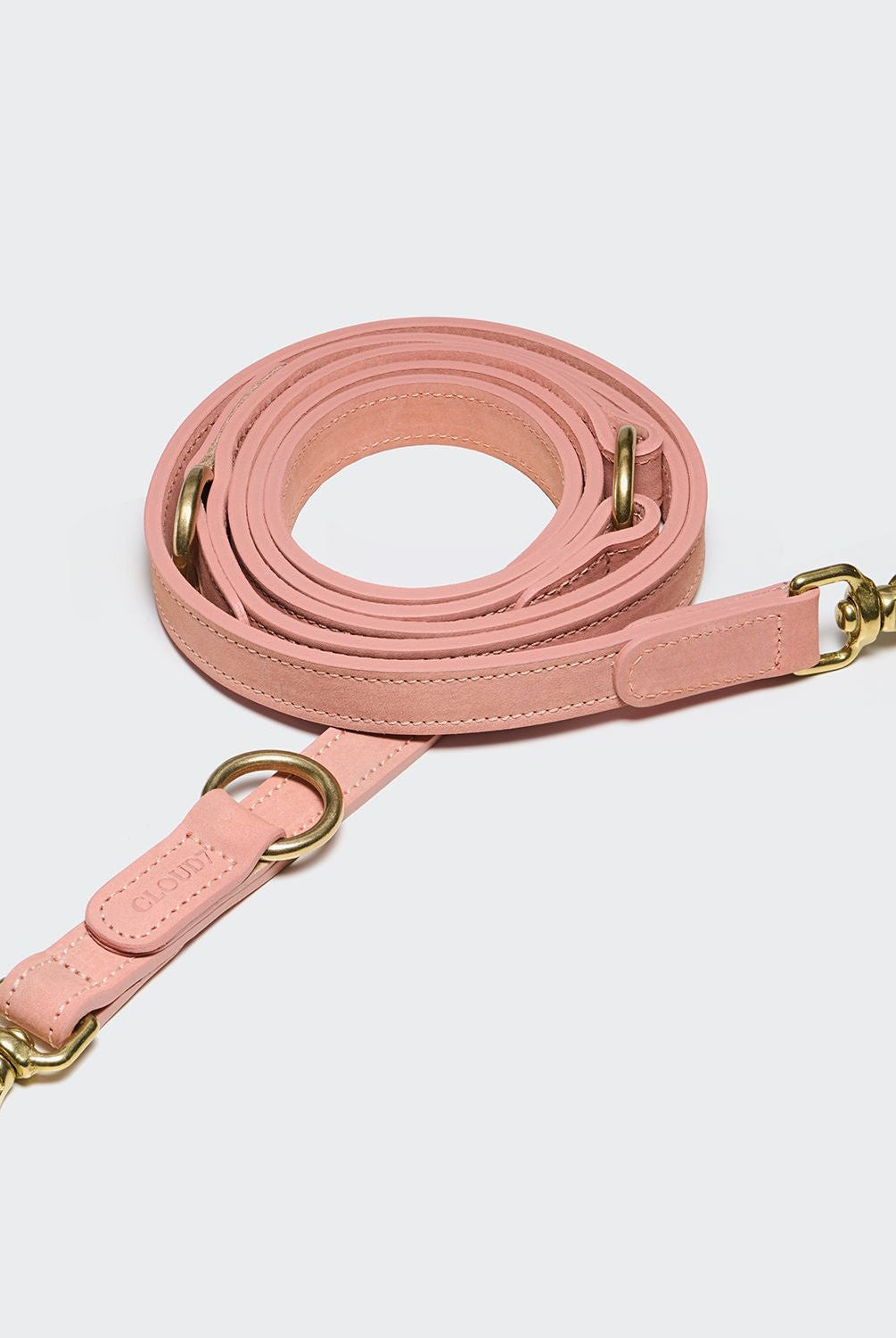 Dog Leash - Tiergarten Park - Peach — original
