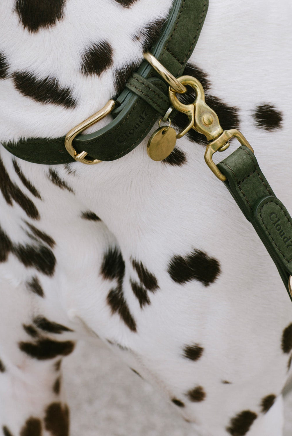 Dog Leash - Tiergarten - Moss — detail 2