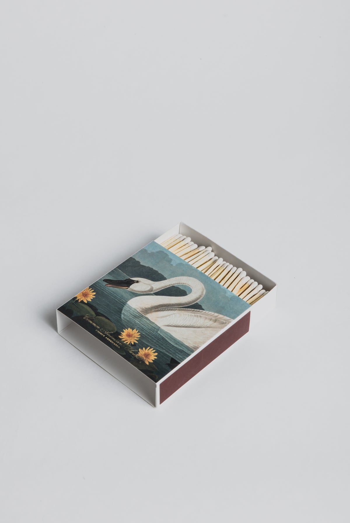 Luxury Matches - The Common American Swan - Cigale & Fourmi