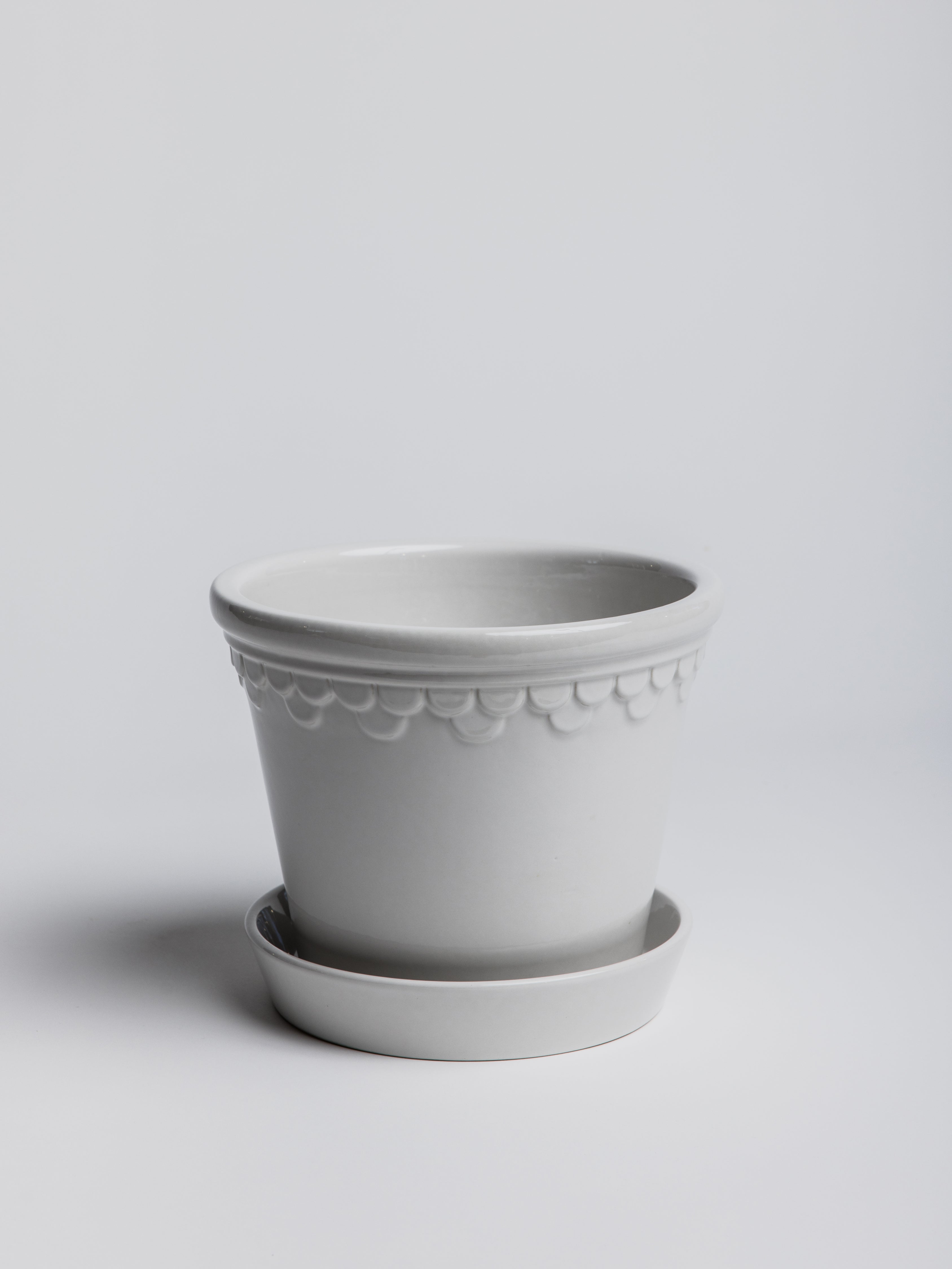 Copenhagen - Mineral White - Cigale & Fourmi