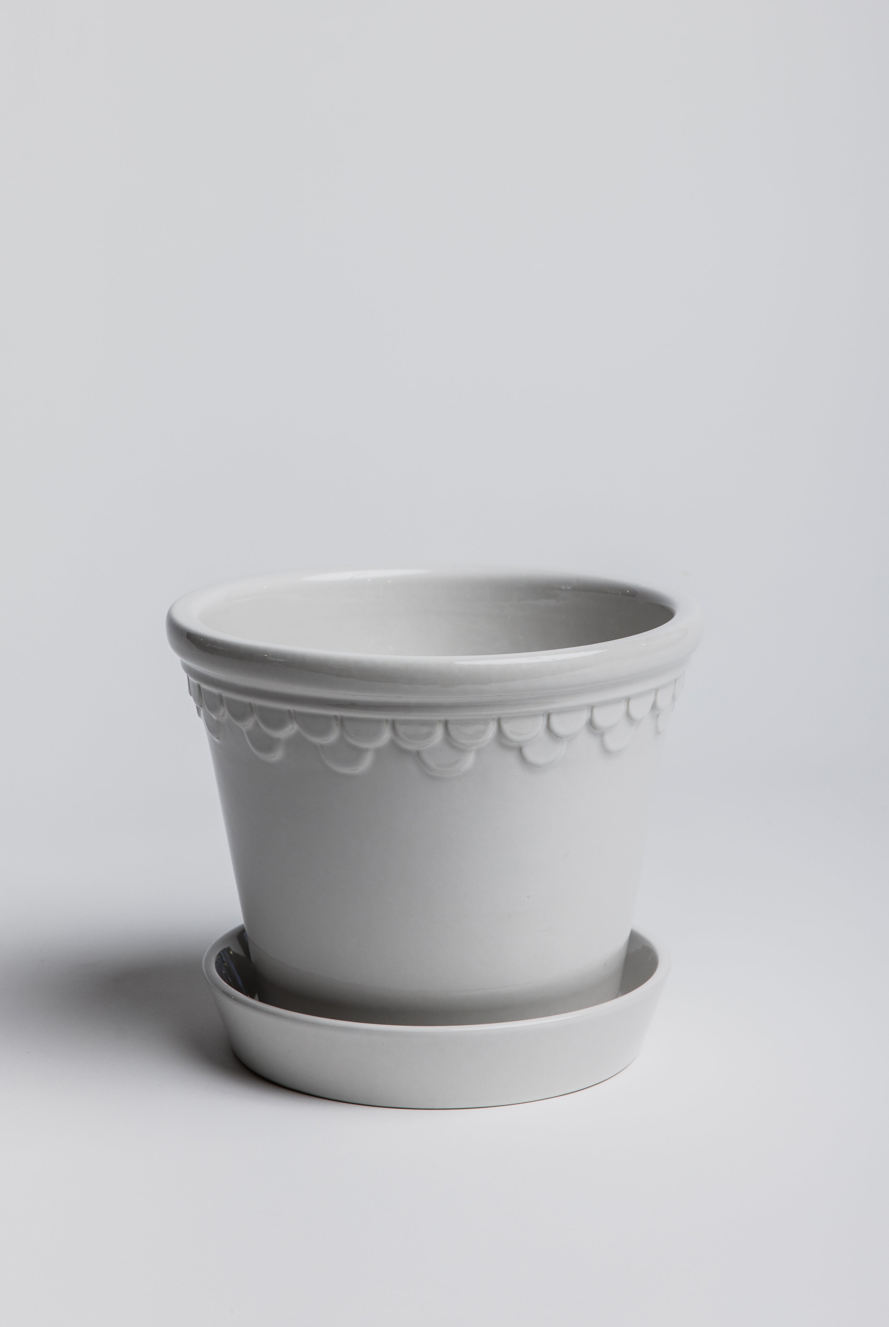Copenhagen - Mineral White - Cigale & Fourmi
