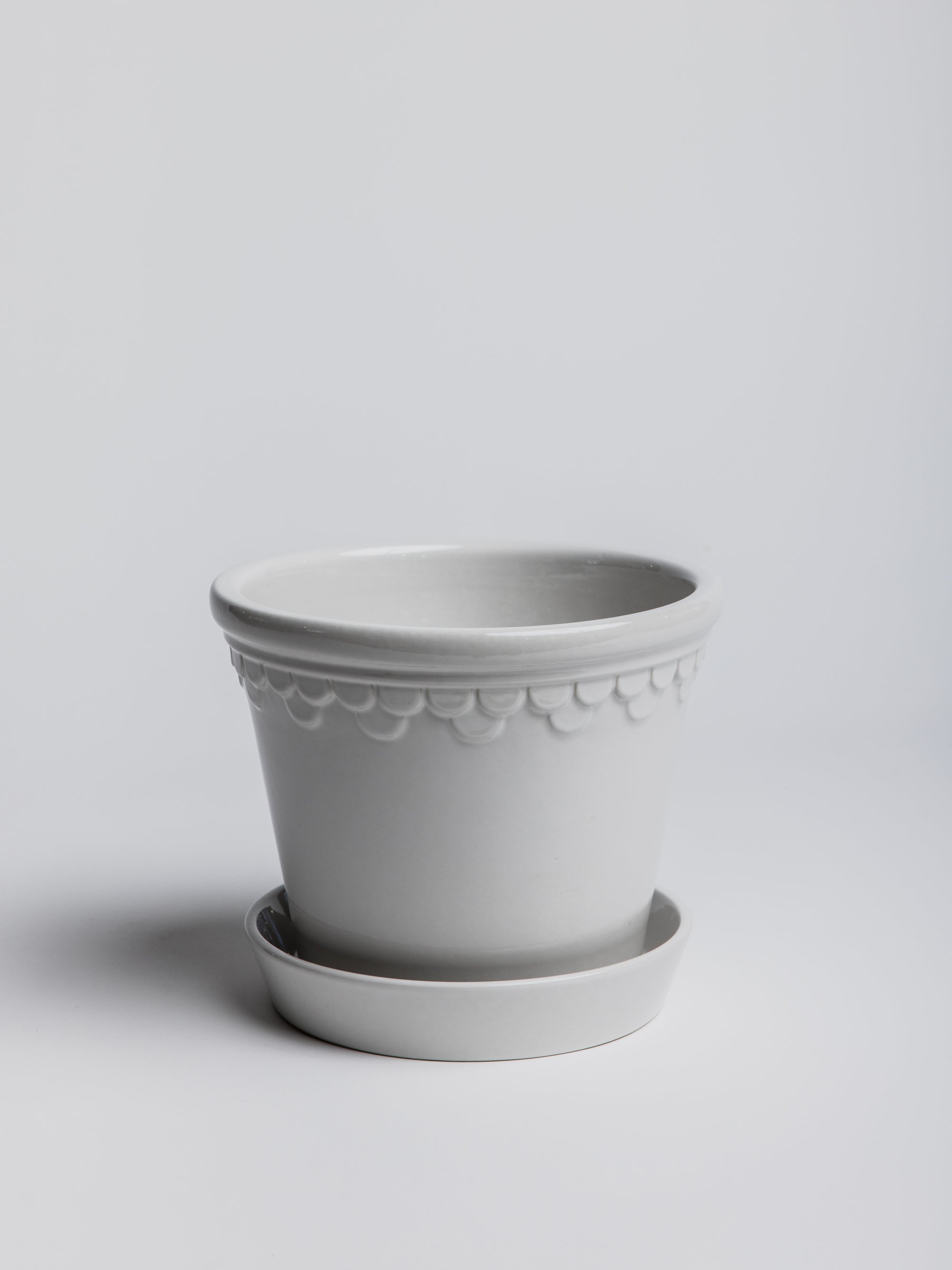 Copenhagen - Mineral White - Cigale &  Fourmi