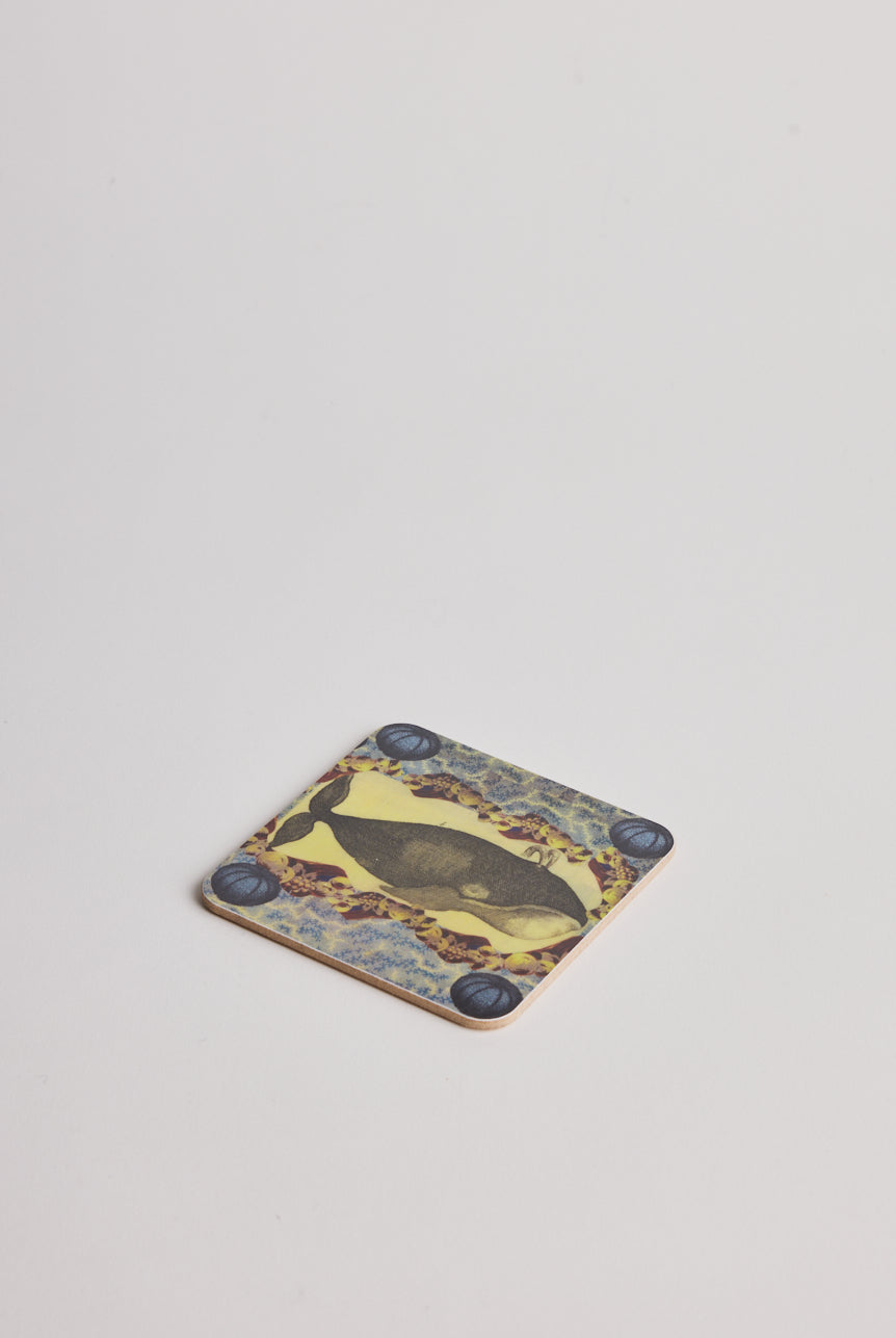Coaster - Whale Urchins - Cigale & Fourmi