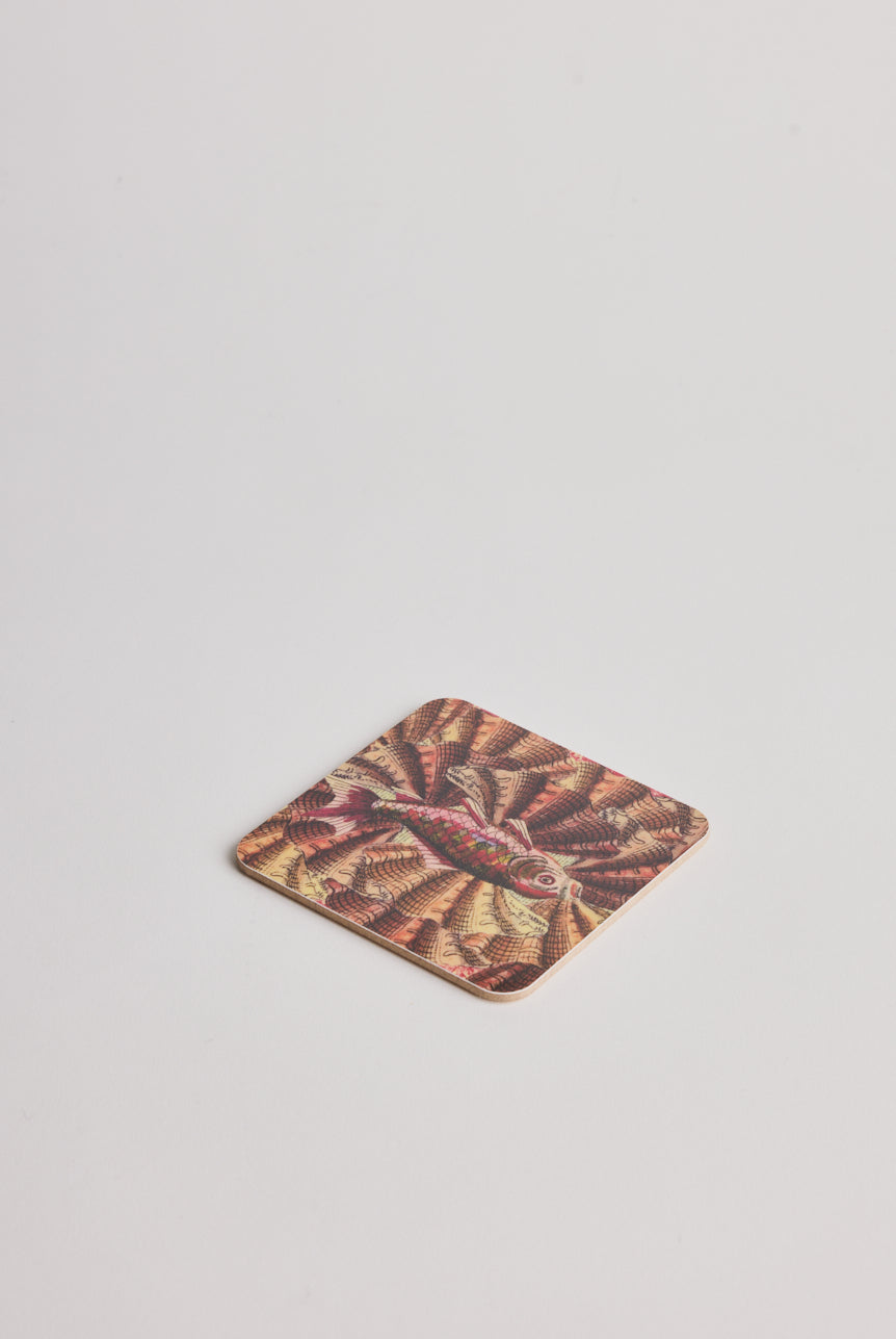 Coaster - Coy - Cigale & Fourmi