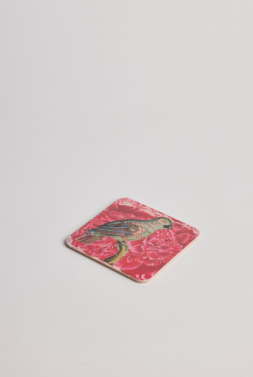 Coaster - Blue Parrot - Cigale & Fourmi