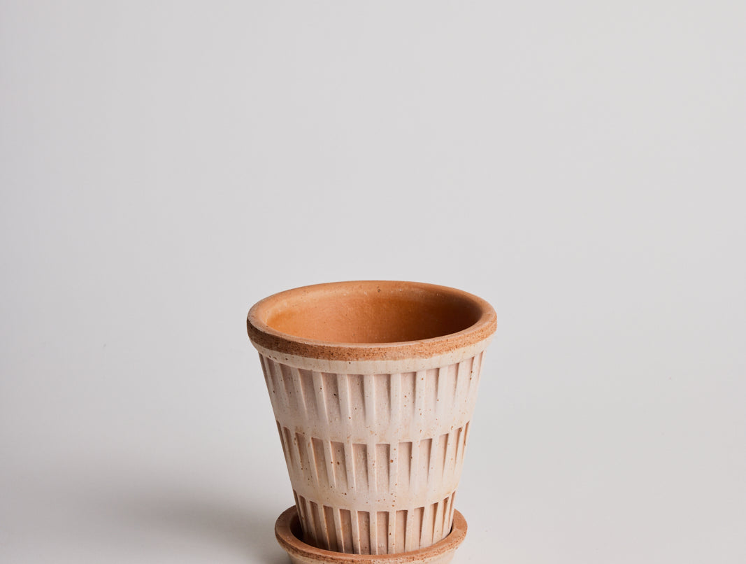 Pantheon - Terracotta - Cigale & Fourmi