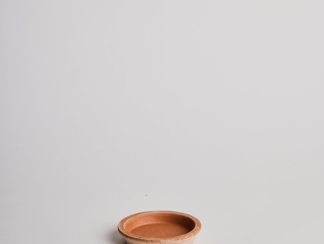 Pantheon - Terracotta - Cigale & Fourmi