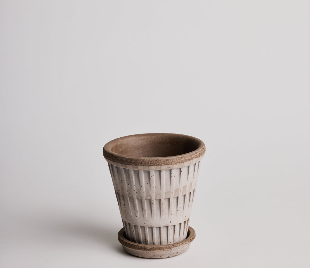 Pantheon - Grey - Cigale & Fourmi