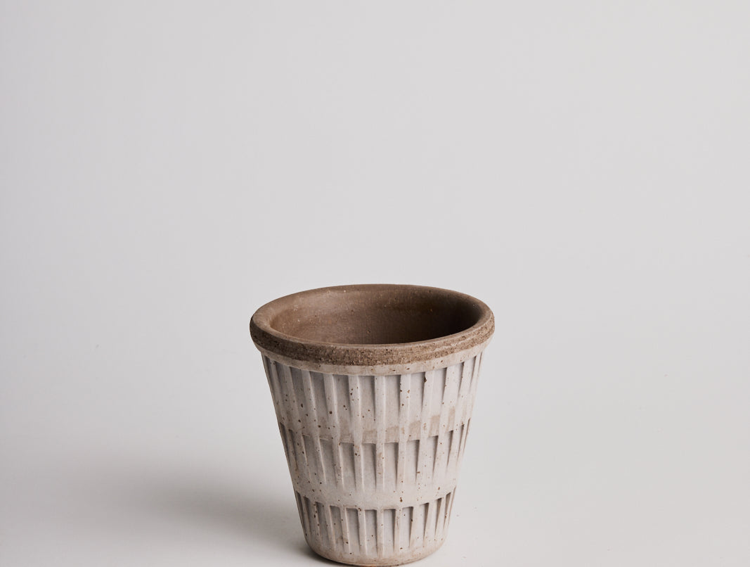 Pantheon - Grey - Cigale & Fourmi