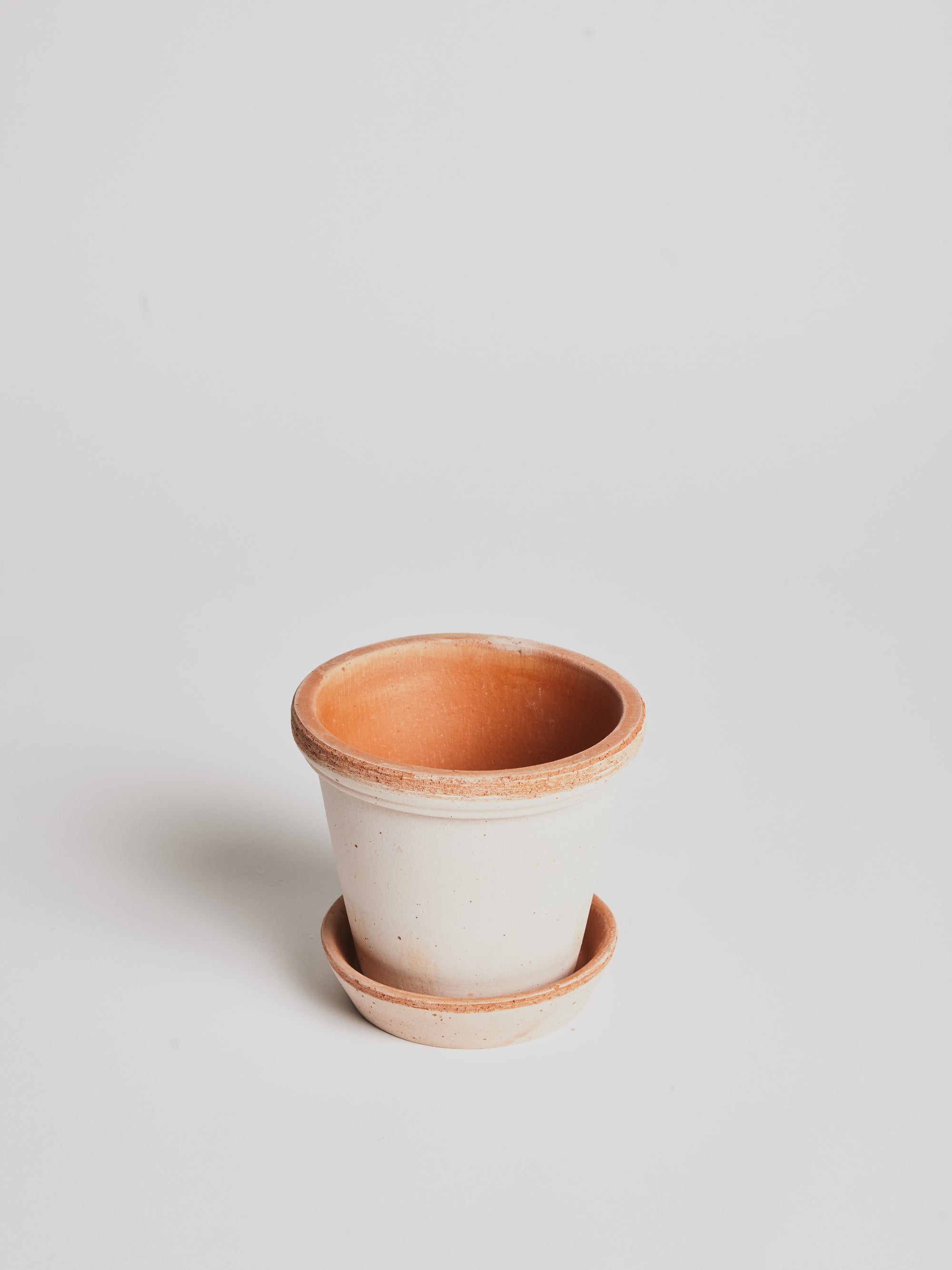 Flora - Terracotta - Cigale &  Fourmi