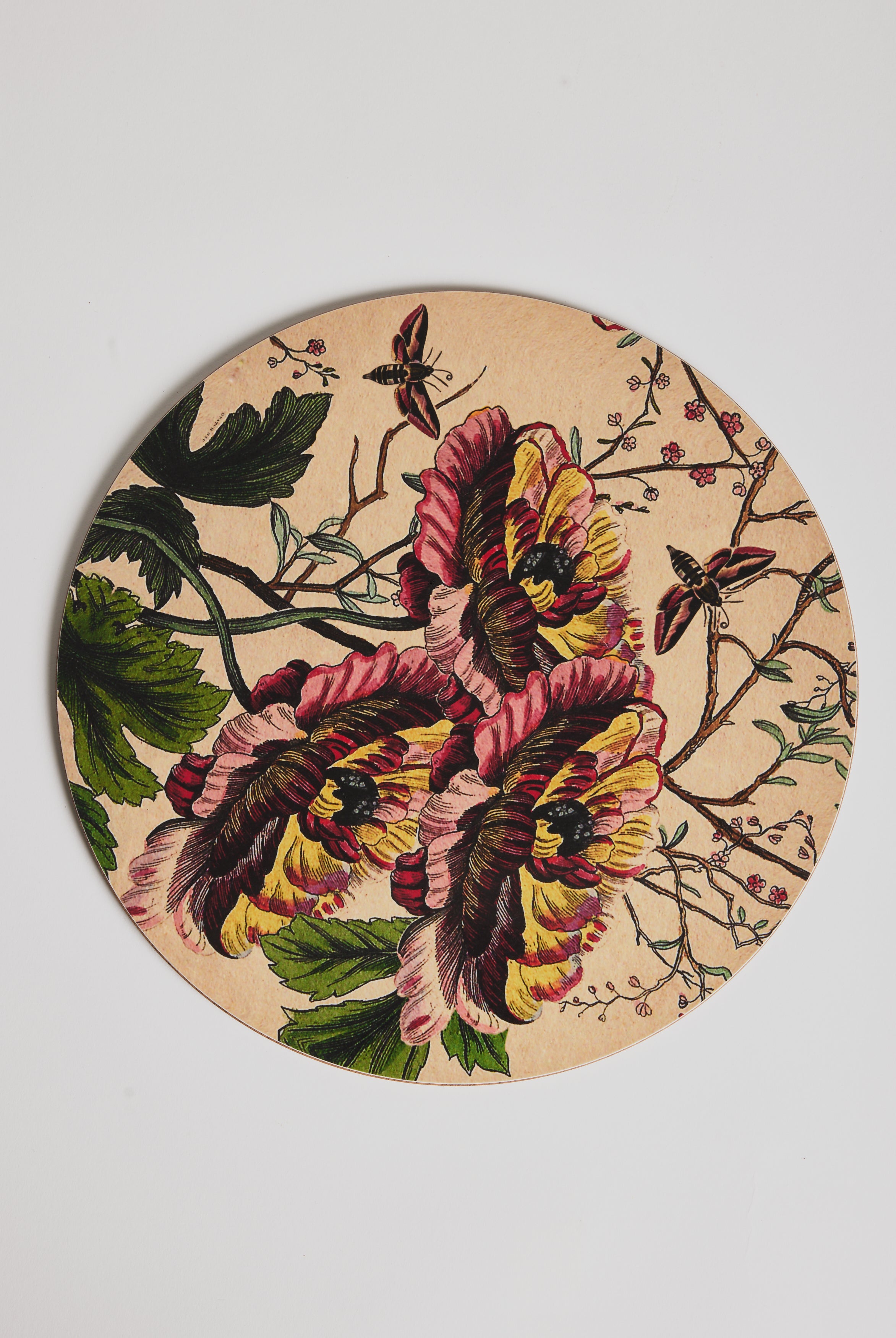 Placemat - Poppy - Cigale & Fourmi