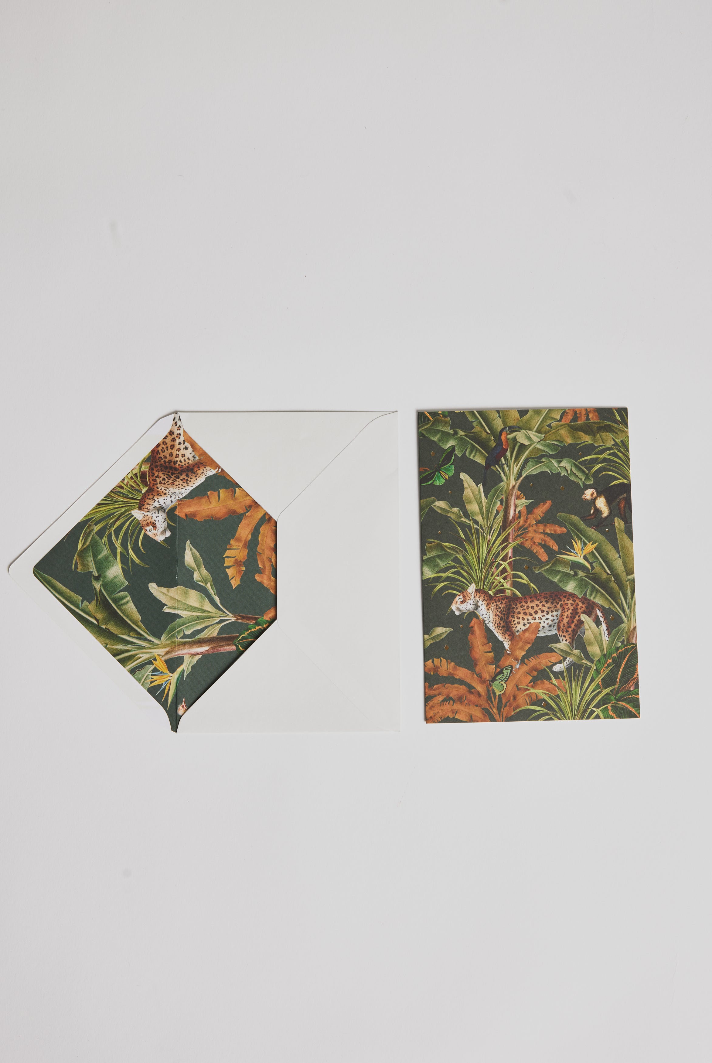 Greeting Card - Jungle - Cigale & Fourmi