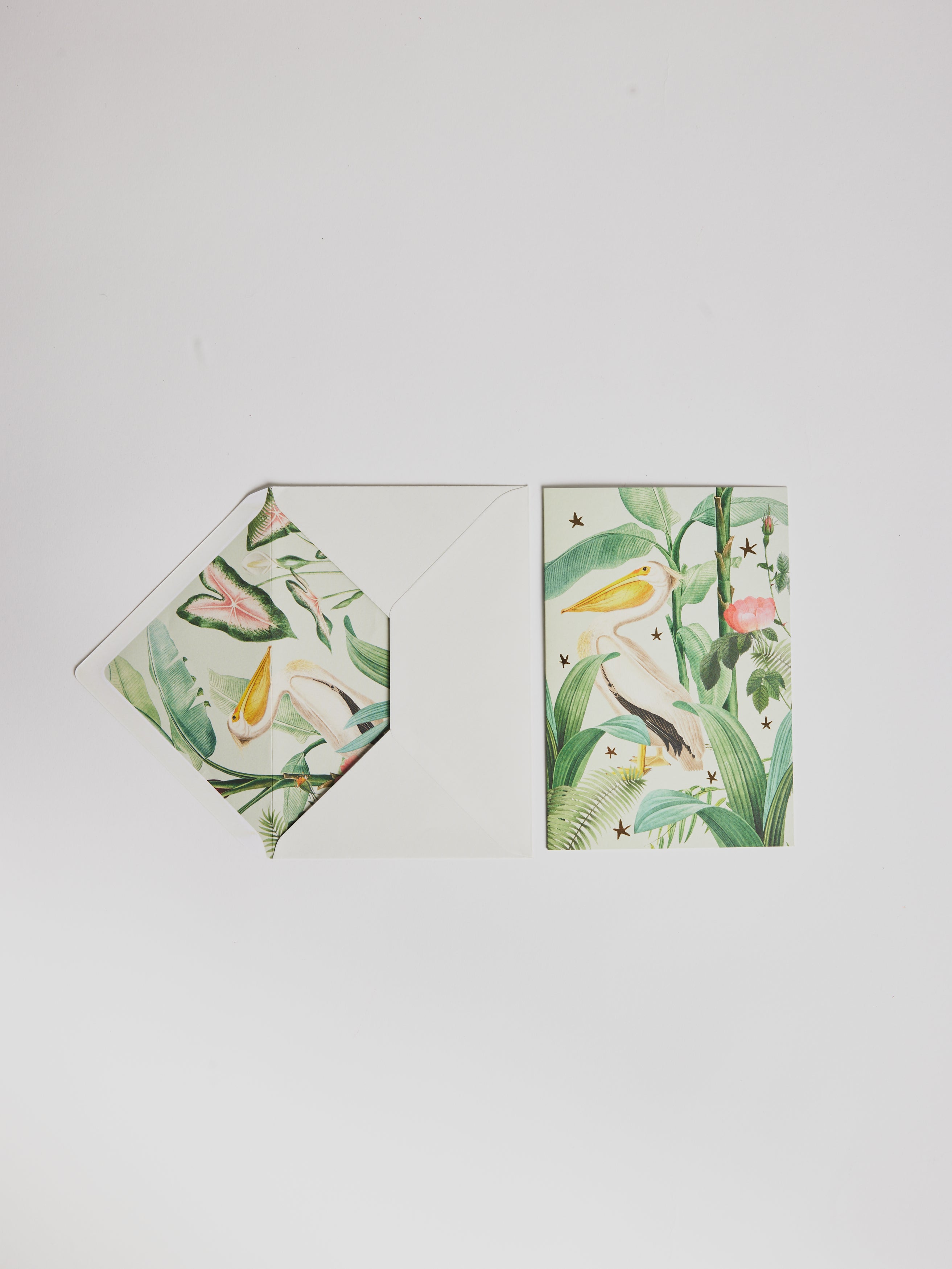 Greeting Card - Bird - Cigale & Fourmi