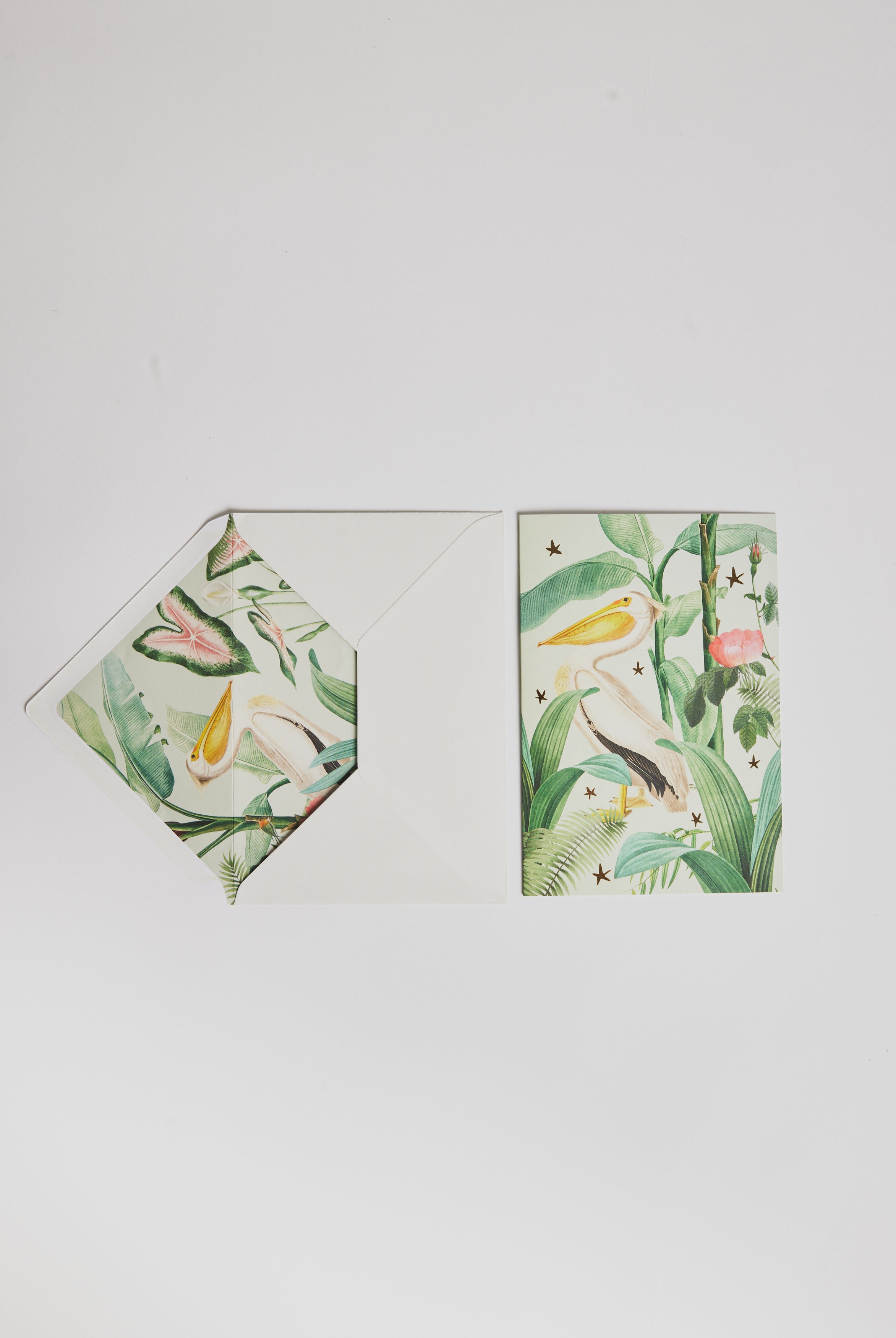 Greeting Card - Bird - Cigale & Fourmi