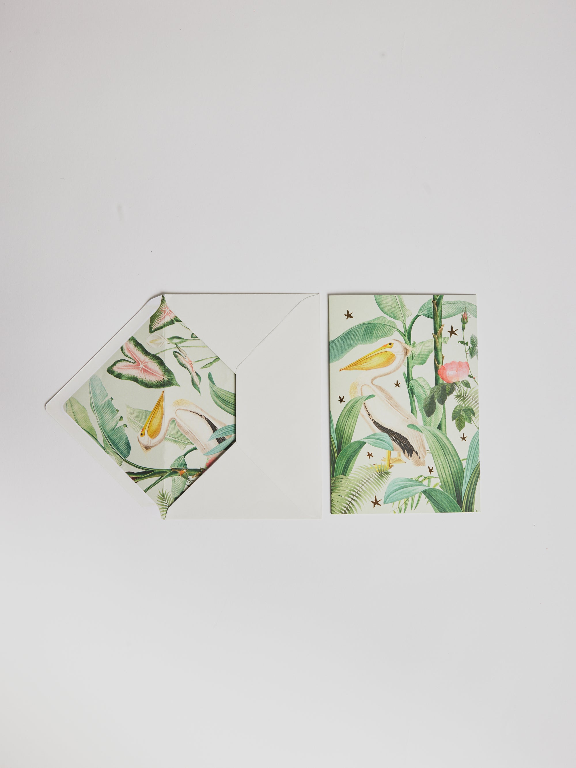 Greeting Card - Bird - Cigale &  Fourmi