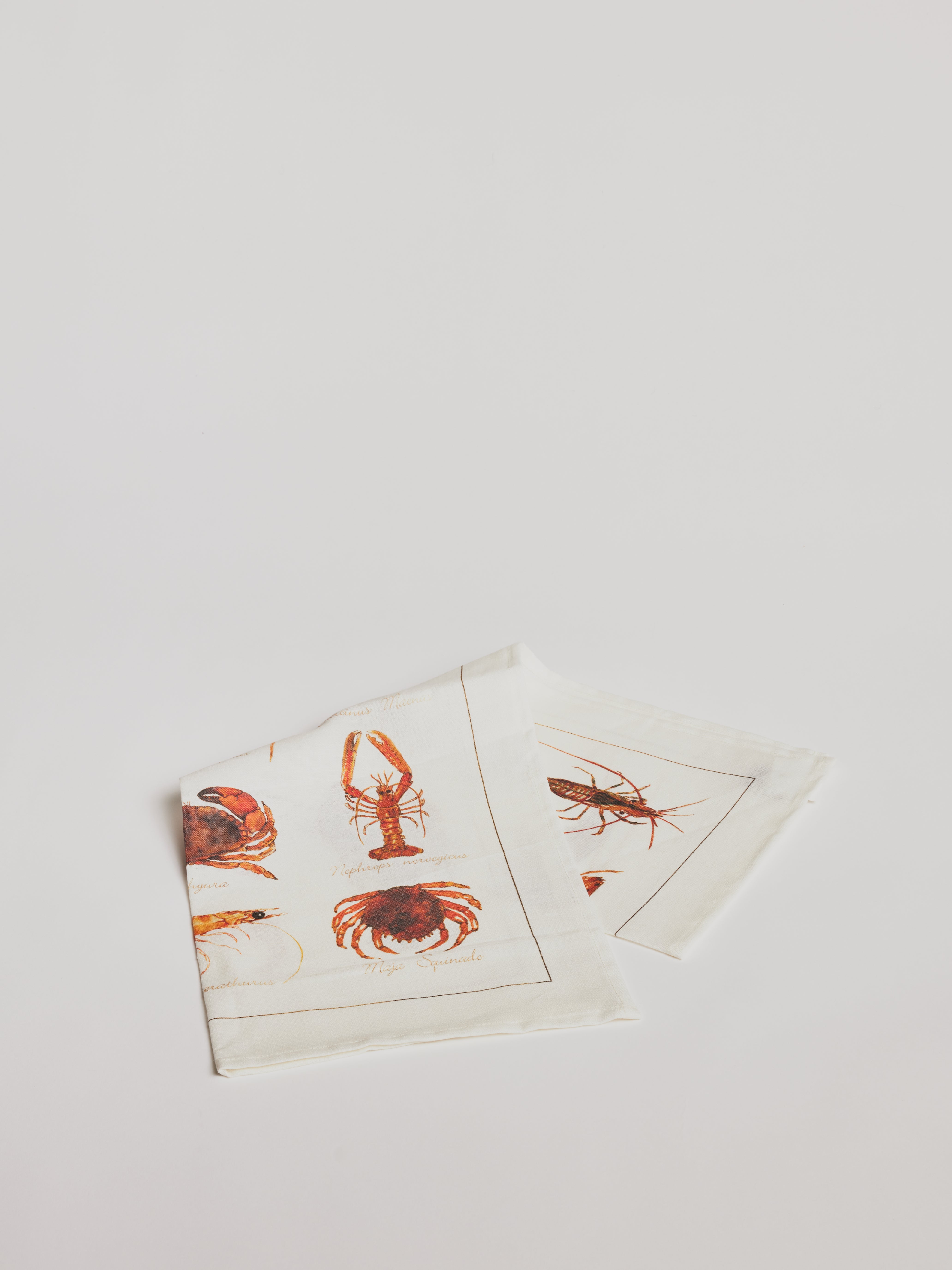 Kitchen Towel - La Mer Crostacei / Crabs - Cigale & Fourmi