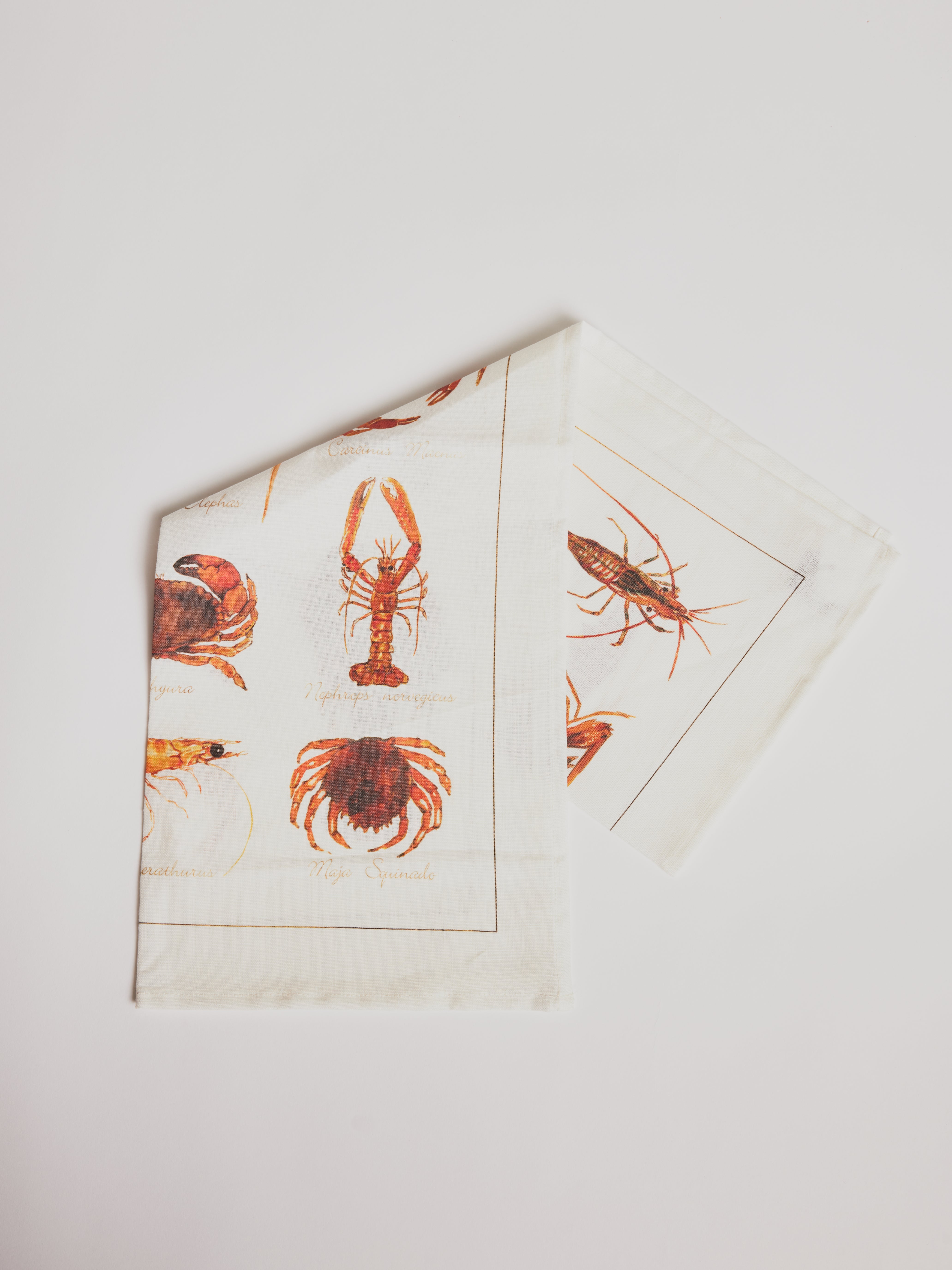 Kitchen Towel - La Mer Crostacei / Crabs - Cigale & Fourmi