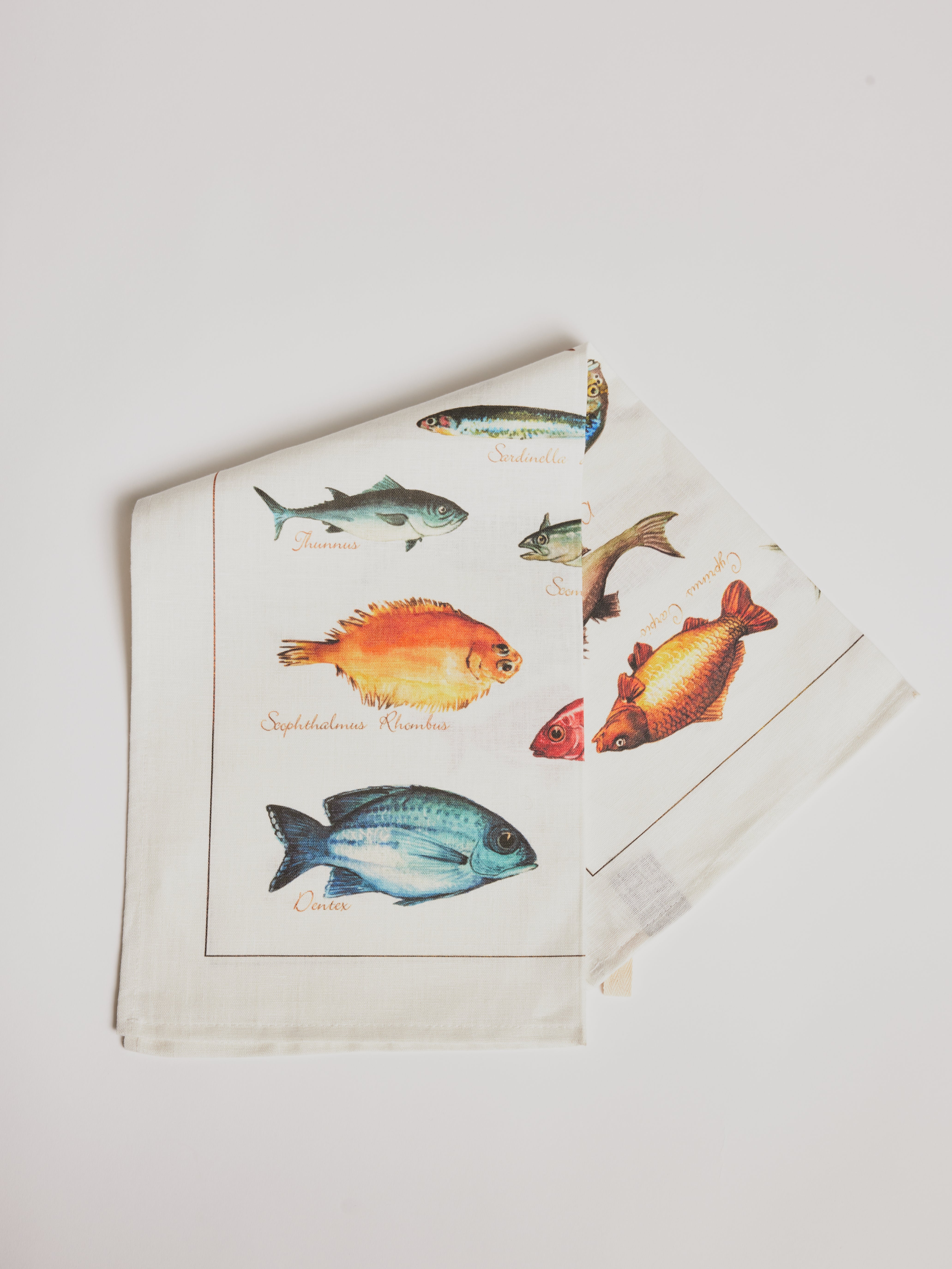 Kitchen Towel - La Mer Pesci / Fish - Cigale & Fourmi