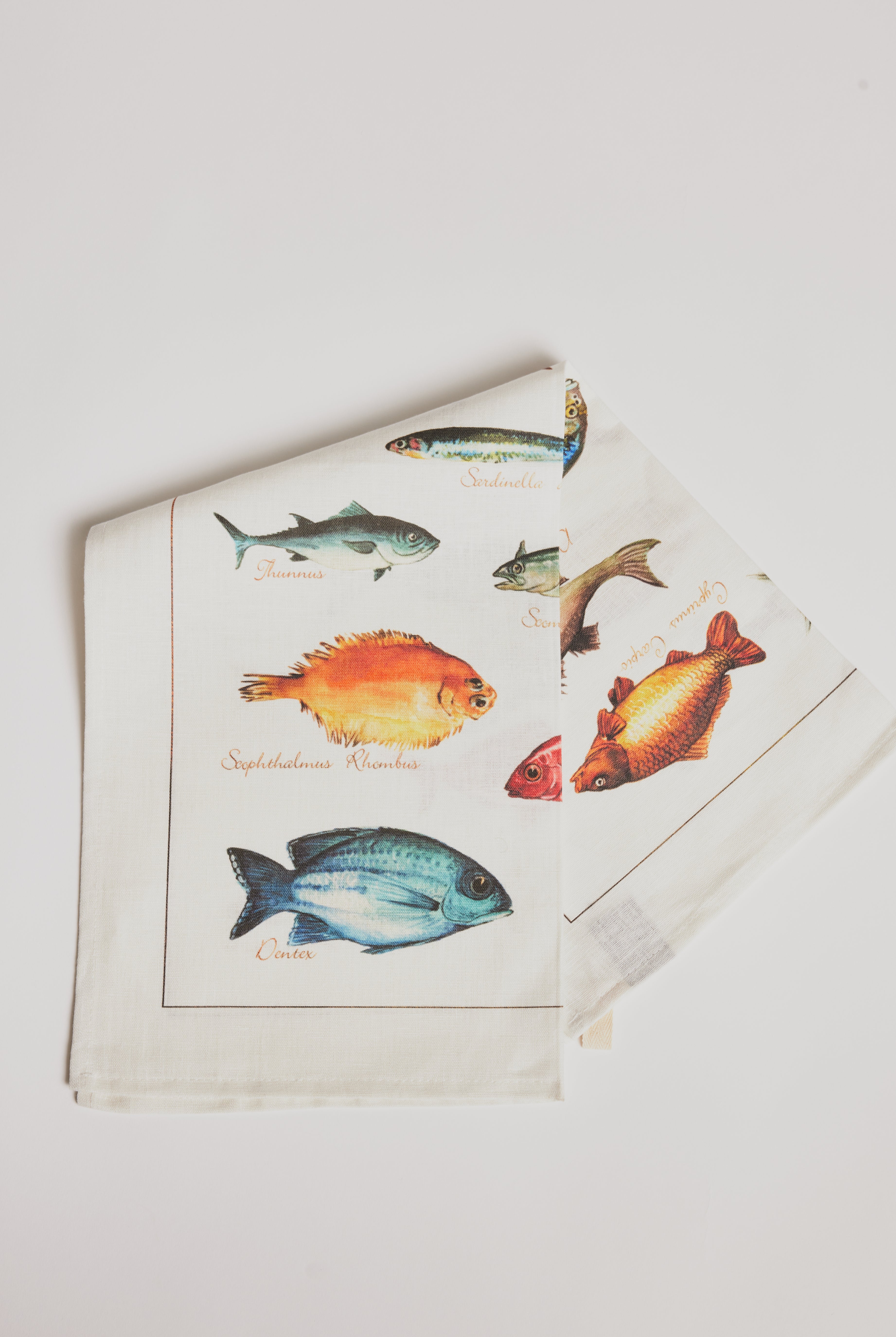Kitchen Towel - La Mer Pesci / Fish - Cigale & Fourmi