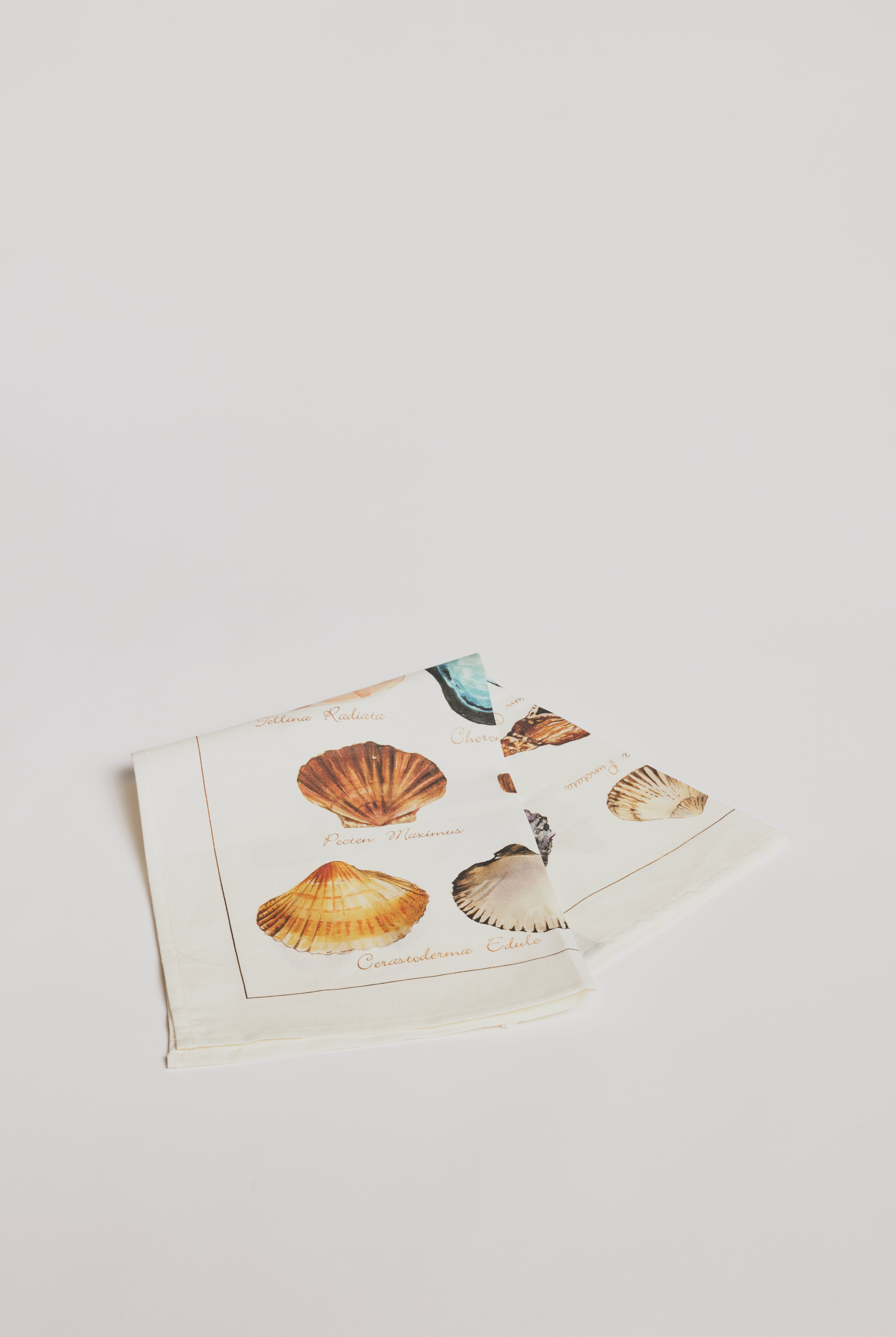 Kitchen Towel - La Mer Crostacei / Seashell - Cigale & Fourmi
