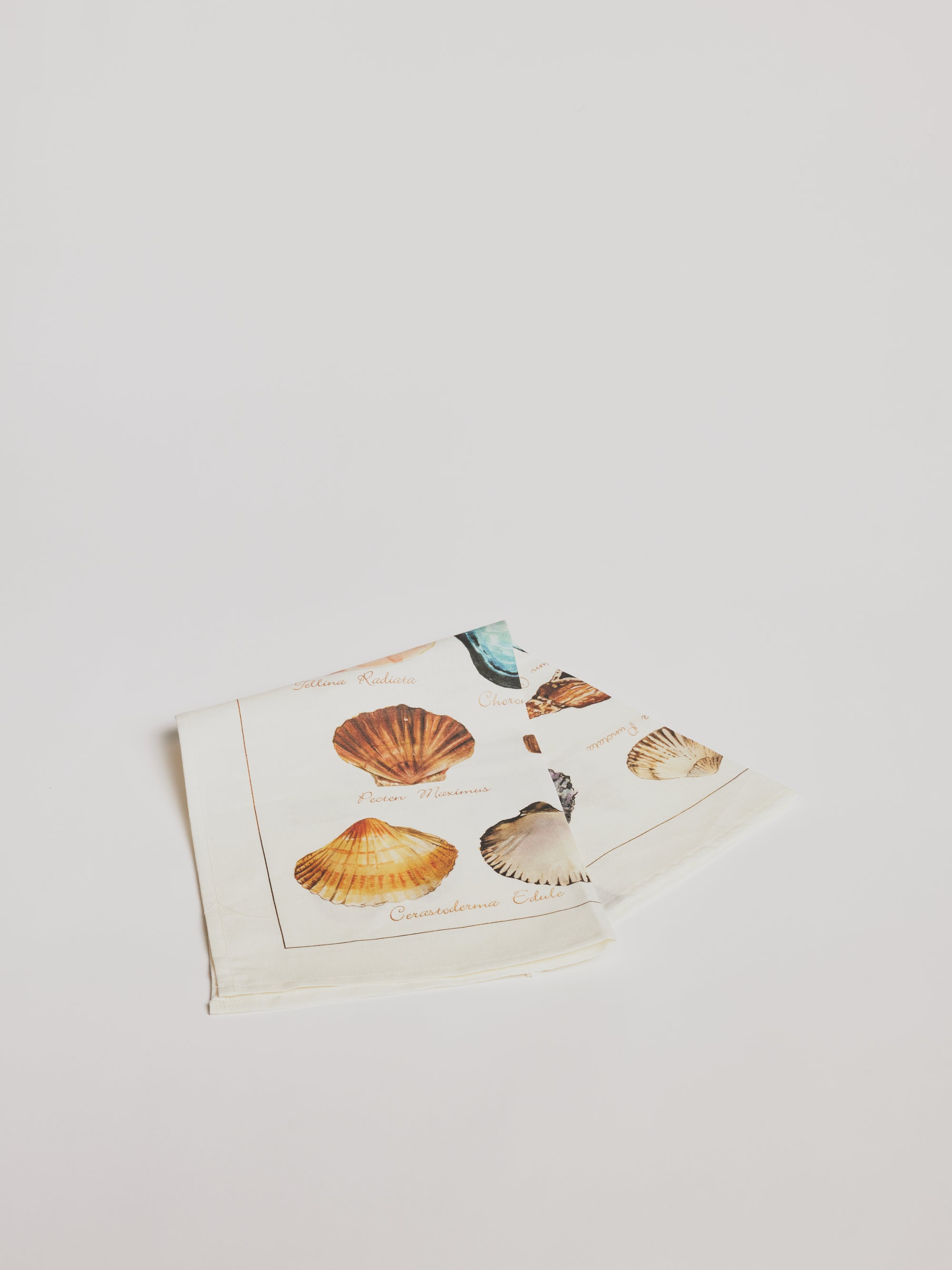 Kitchen Towel - La Mer Crostacei / Seashell - Cigale &amp;  Fourmi