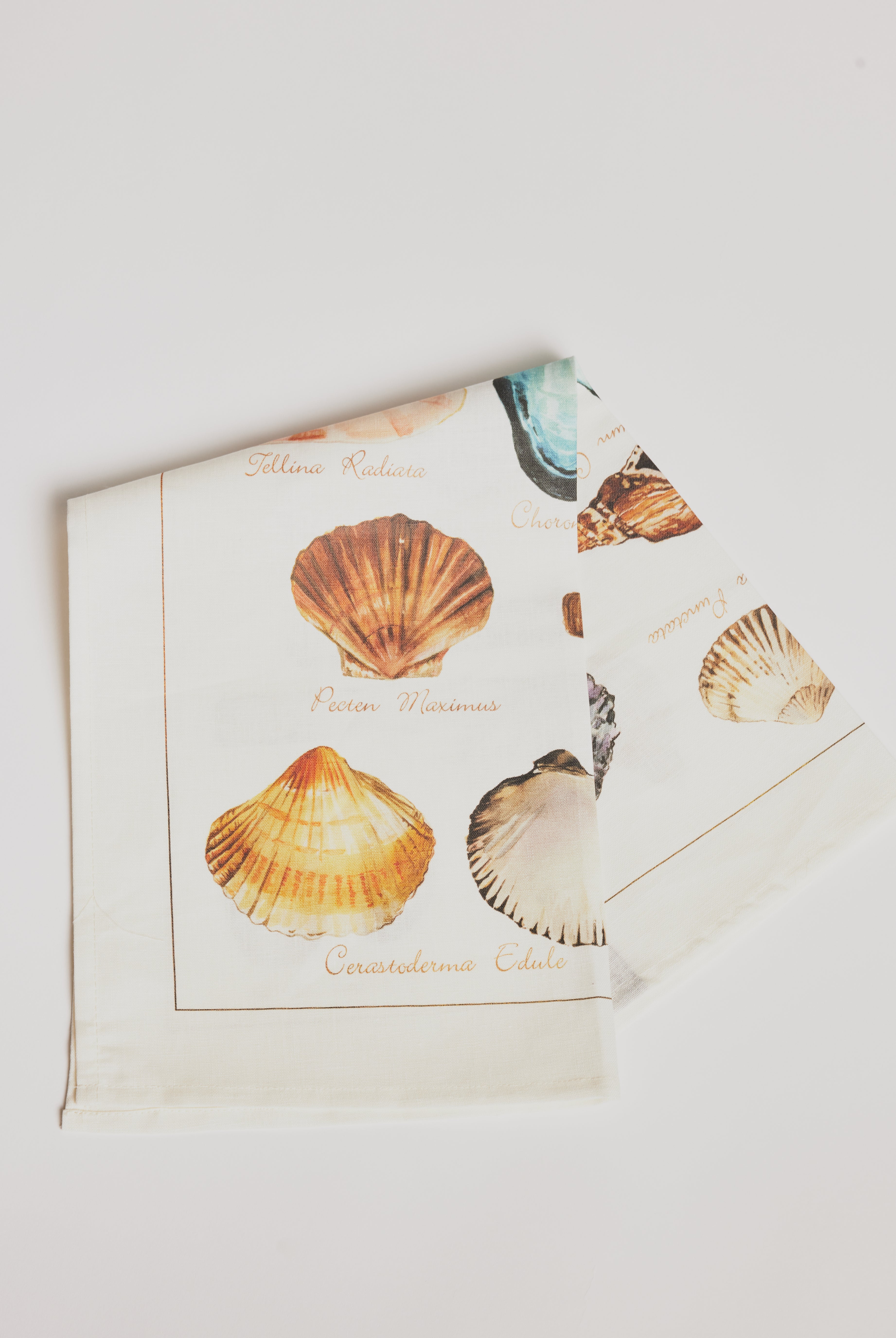 Kitchen Towel - La Mer Crostacei / Seashell - Cigale & Fourmi