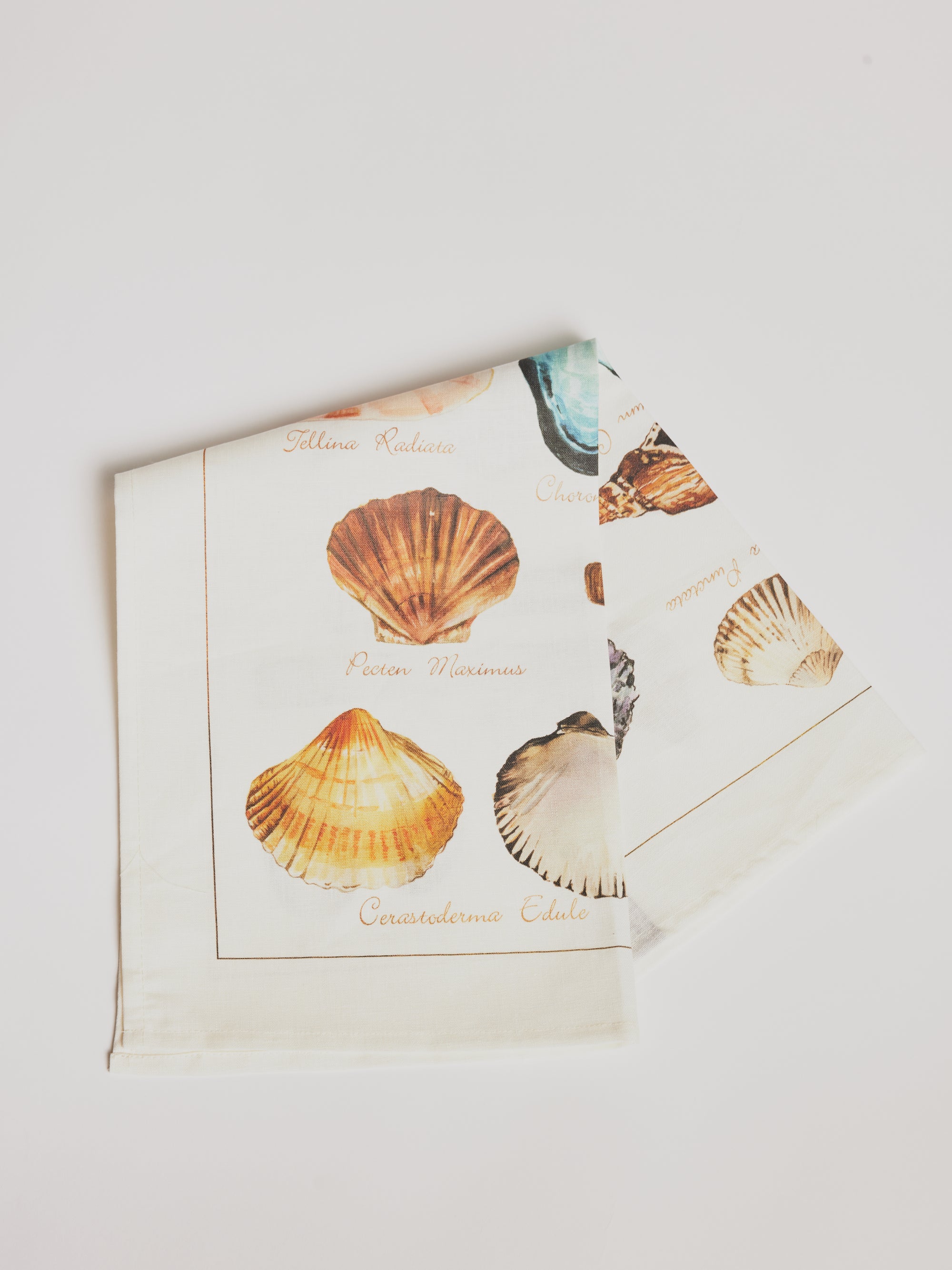 Kitchen Towel - La Mer Crostacei / Seashell - Cigale &  Fourmi