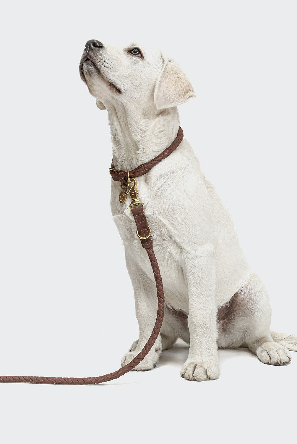 Dog Leash - Ravello - Hazel — original