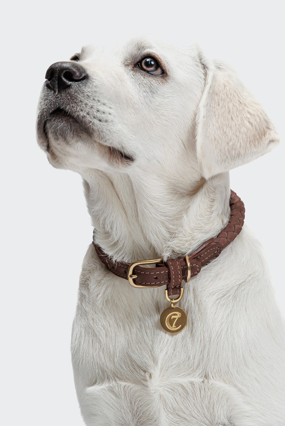 Dog Collar Ravello - Hazel — original