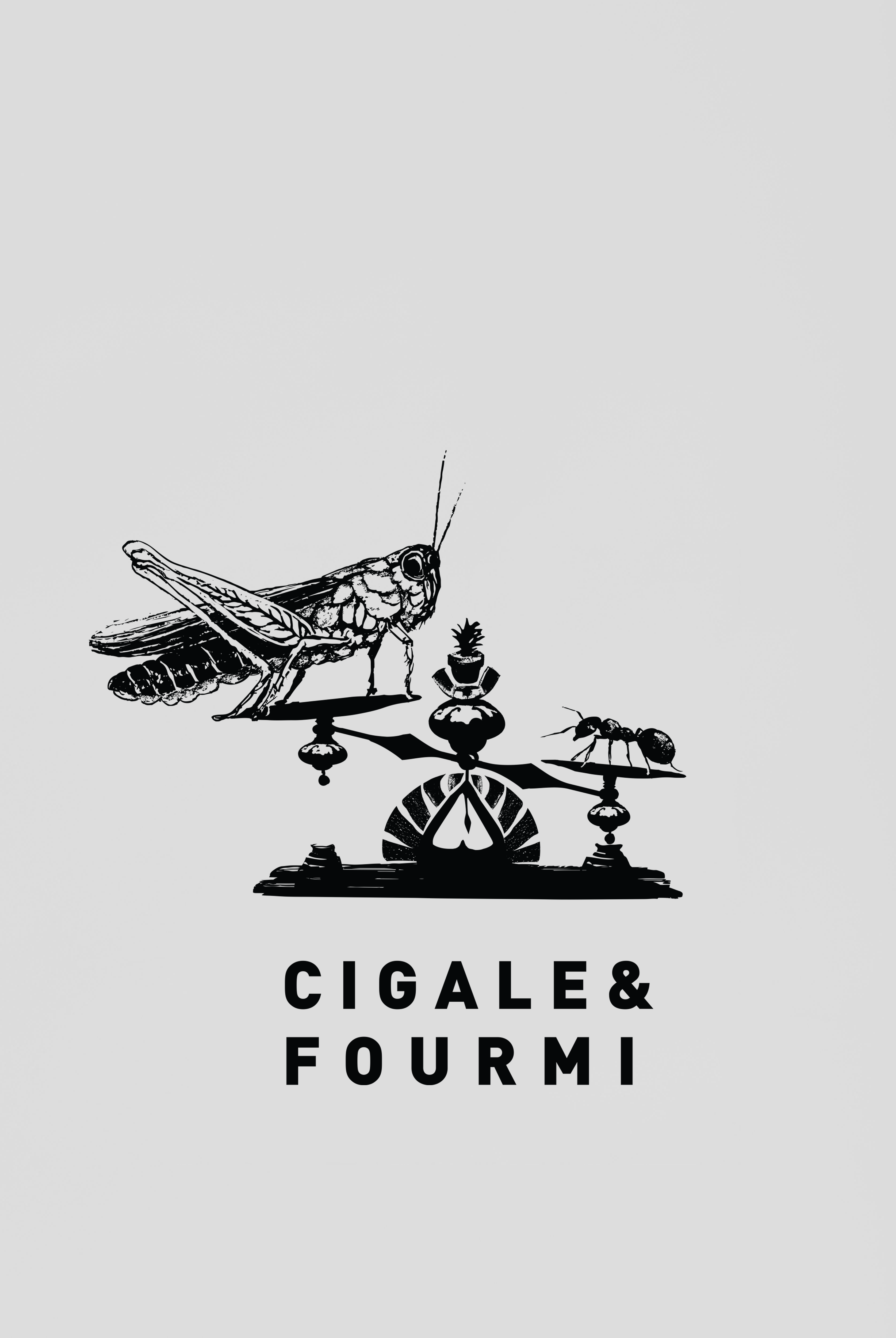 Gift card - Cigale & Fourmi