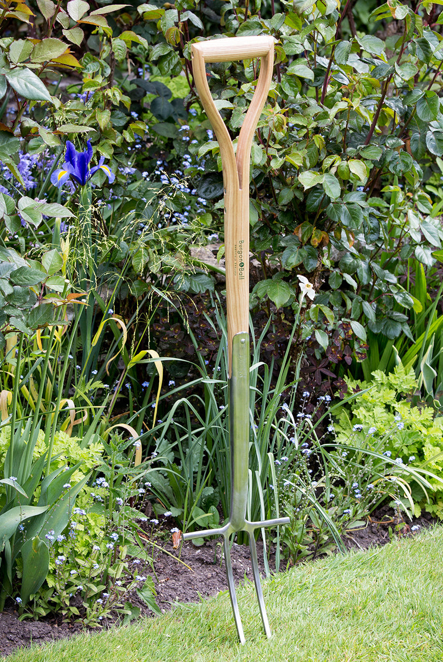 Rose & Root Fork