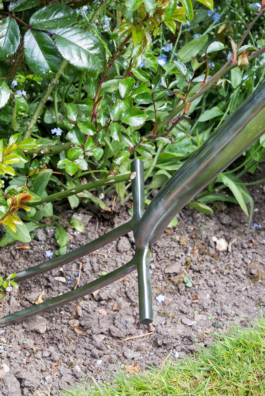 Rose & Root Fork