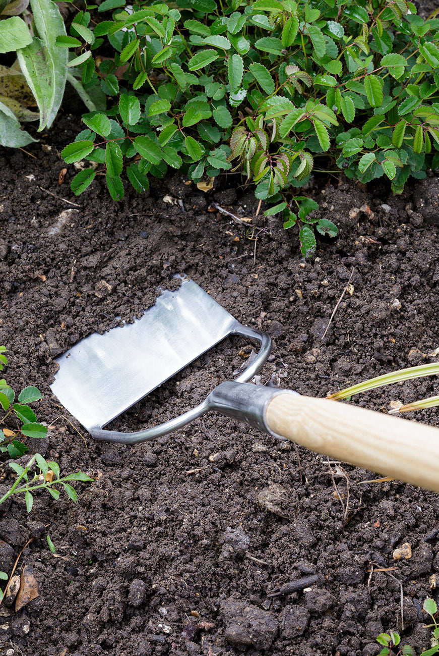 Long Handled - Dutch Hoe